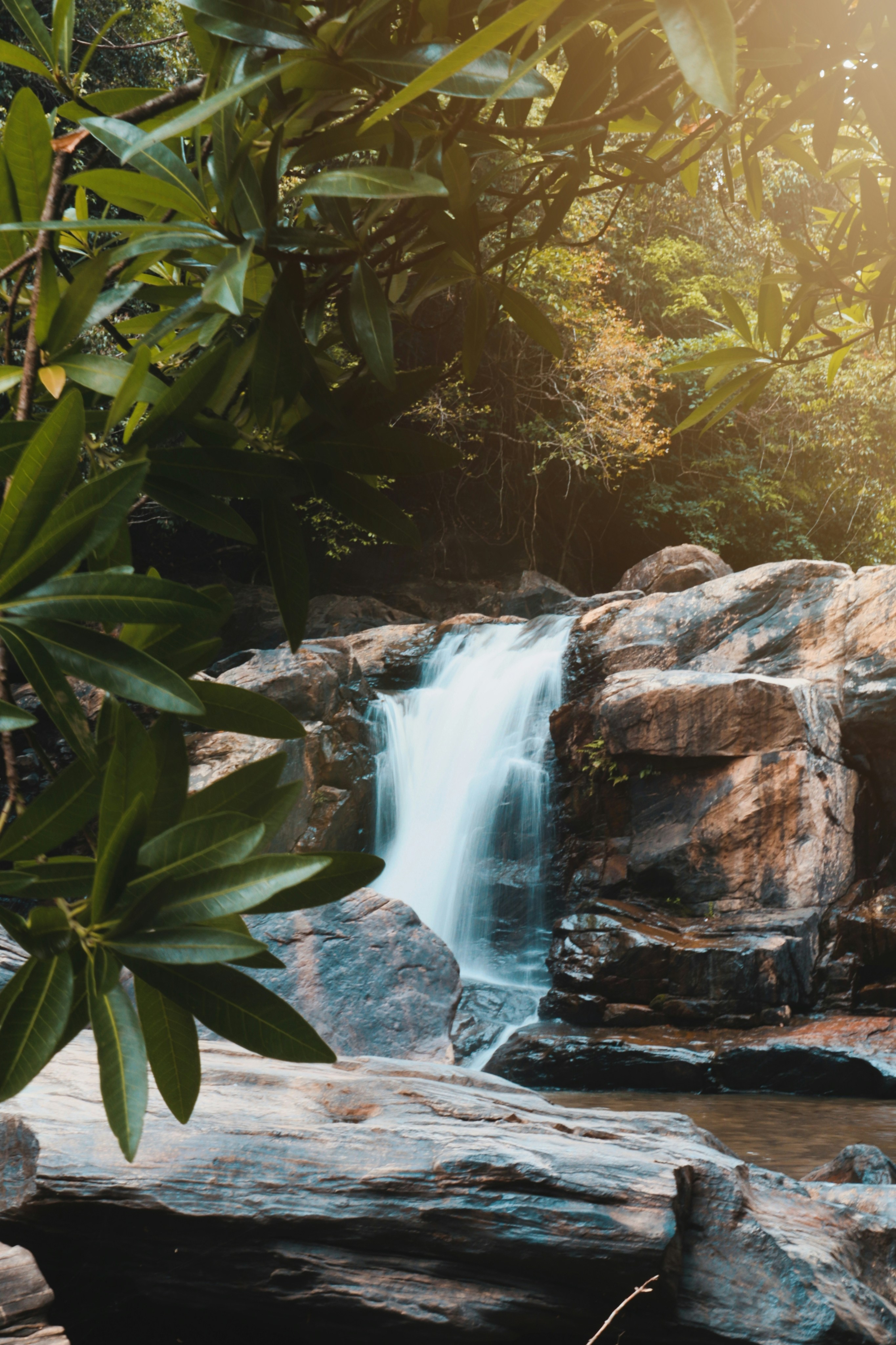 Photo by swaroop_deshpande