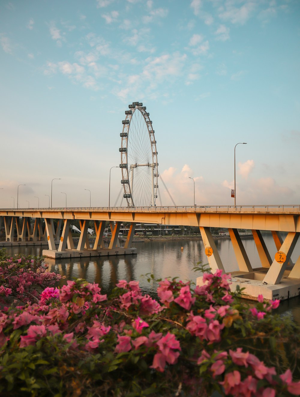 a large ferris wheel sitting next to a body of water