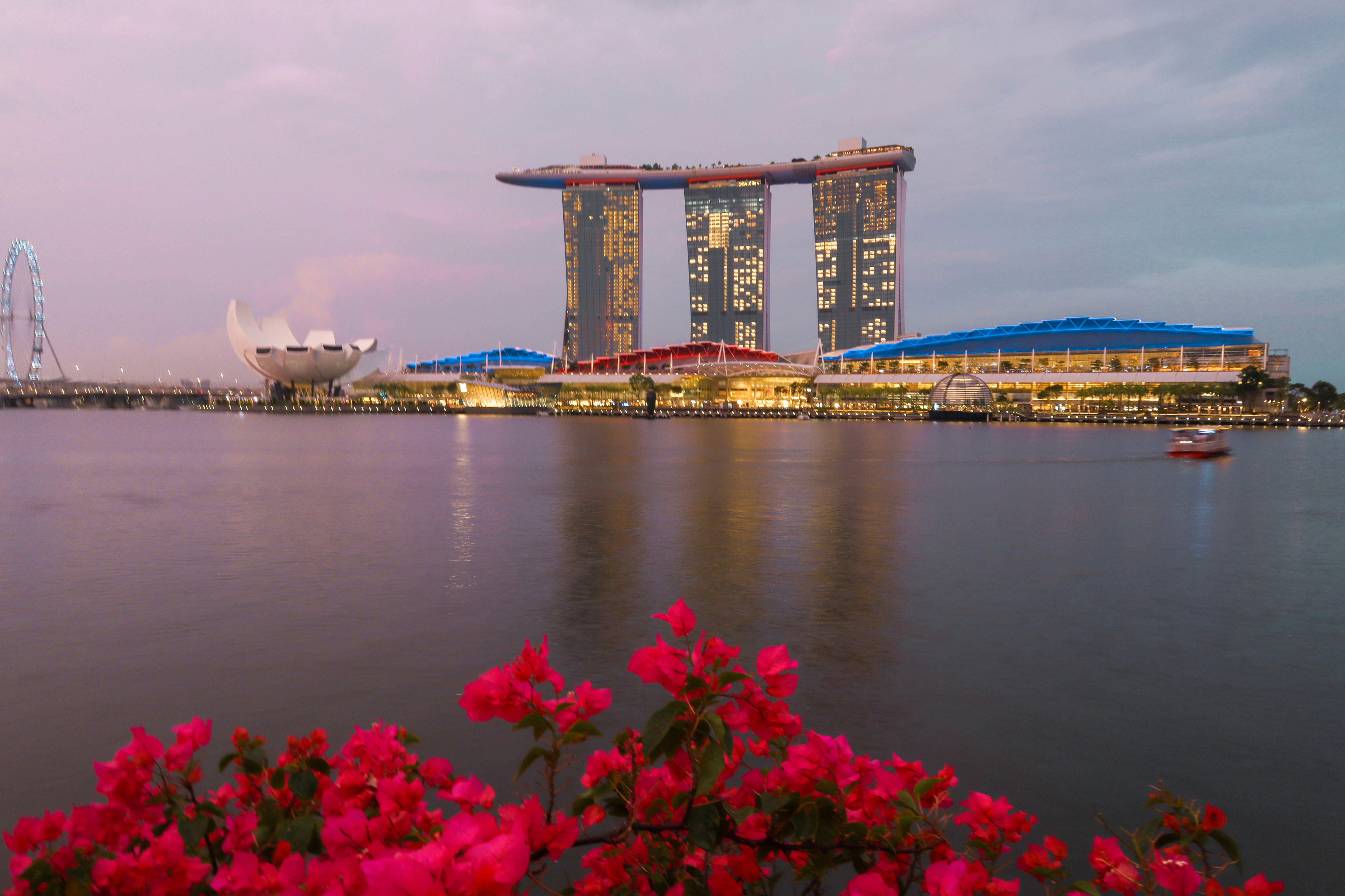 Photo by swaroop_deshpande