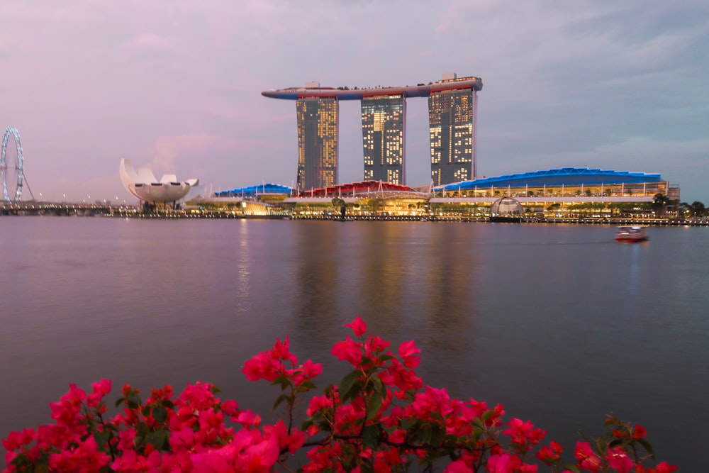 a large body of water with a bunch of buildings in the background