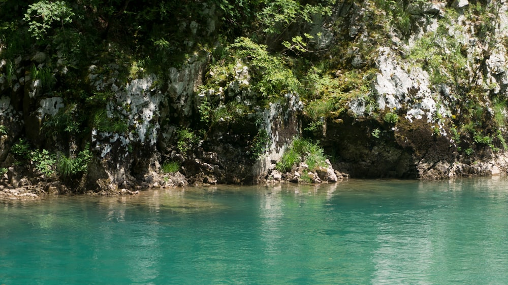 a body of water surrounded by trees and rocks