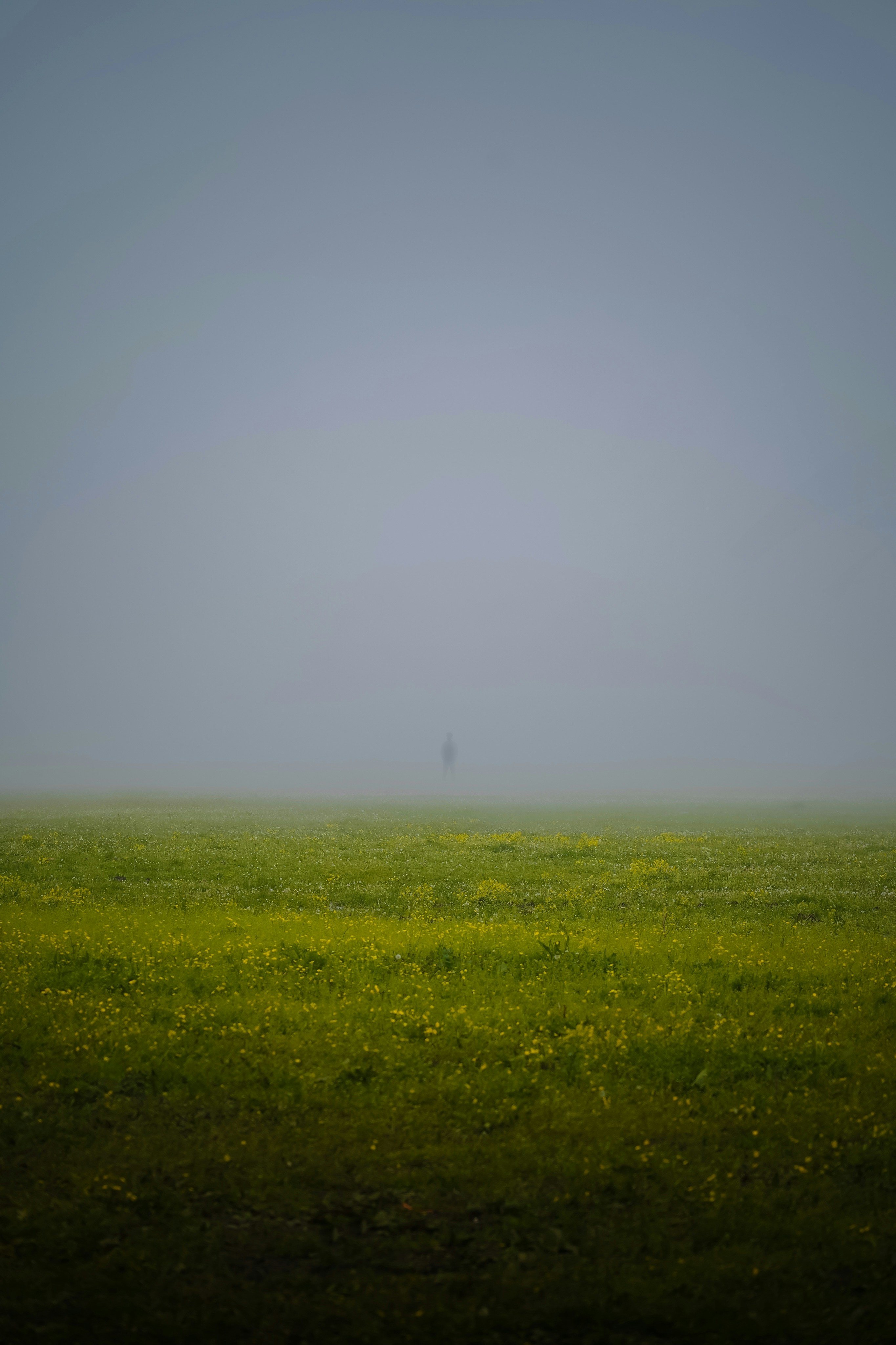 Photo by kiarash_mansouri