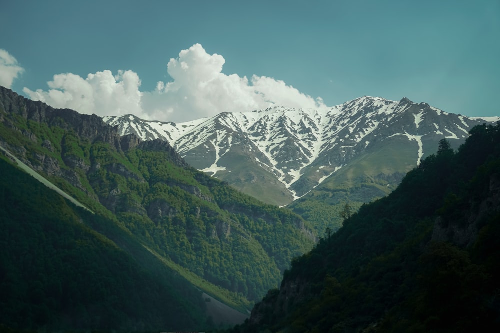 the mountains are covered in snow and green trees