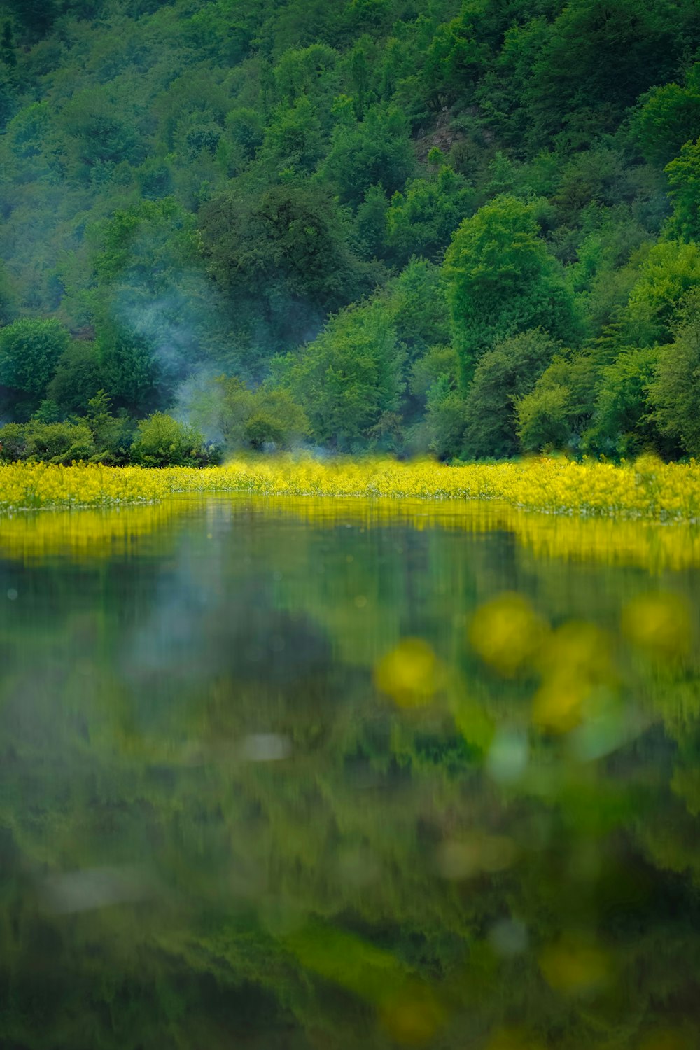 a body of water surrounded by green trees