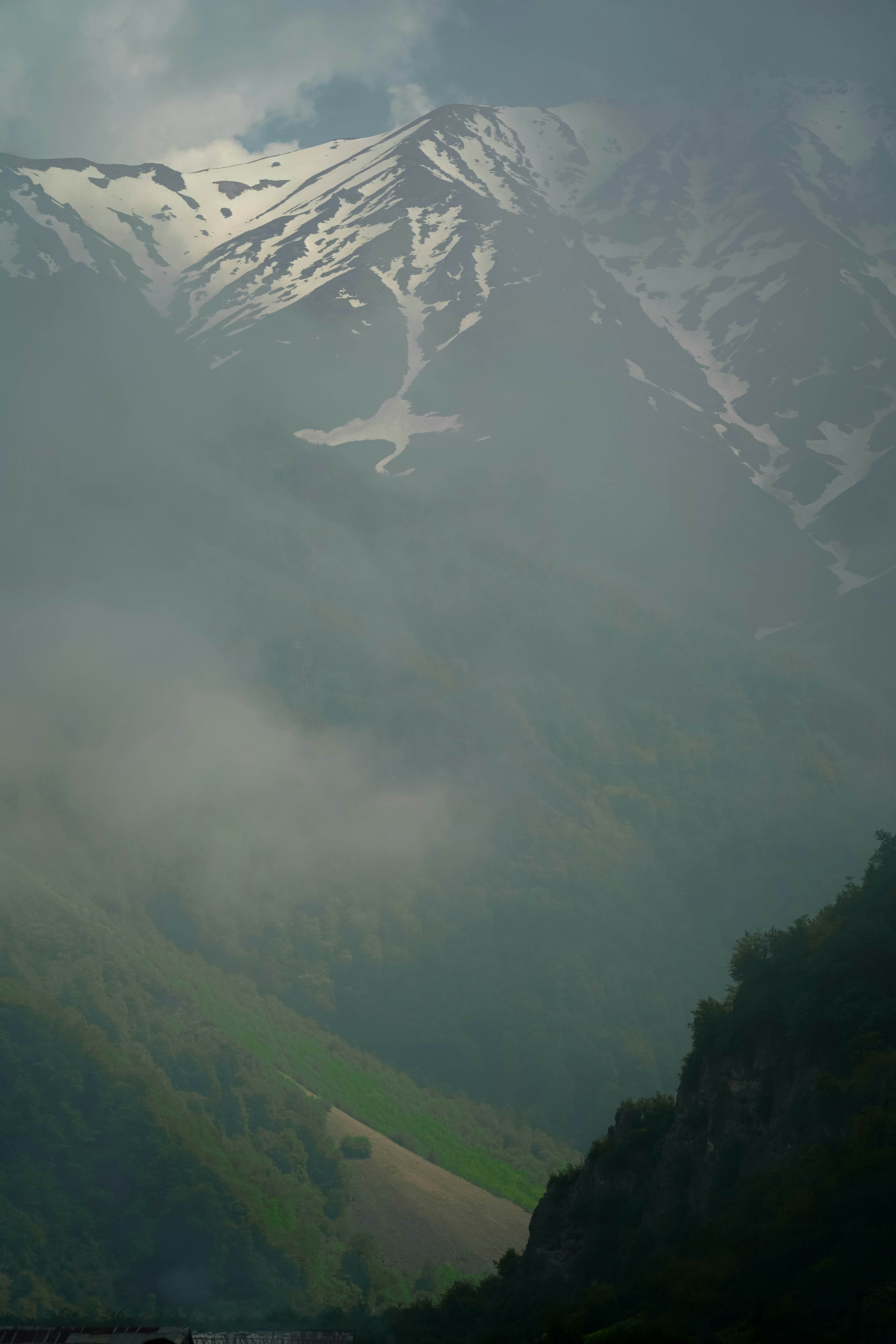 Photo by kiarash_mansouri