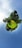 A surreal miniature planet landscape with lush green grass and dense trees forming a circular shape against a vast blue sky. The scene appears as if a small, grassy globe is floating in the sky, with people visible in the center enjoying the outdoors.