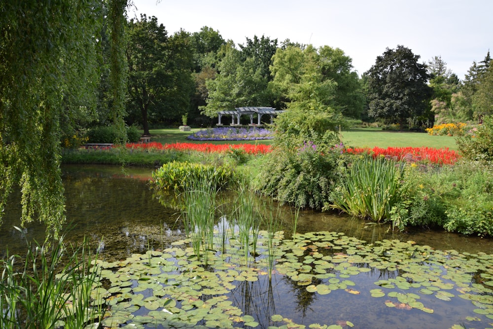 a pond with lily pads and a gazebo in the background