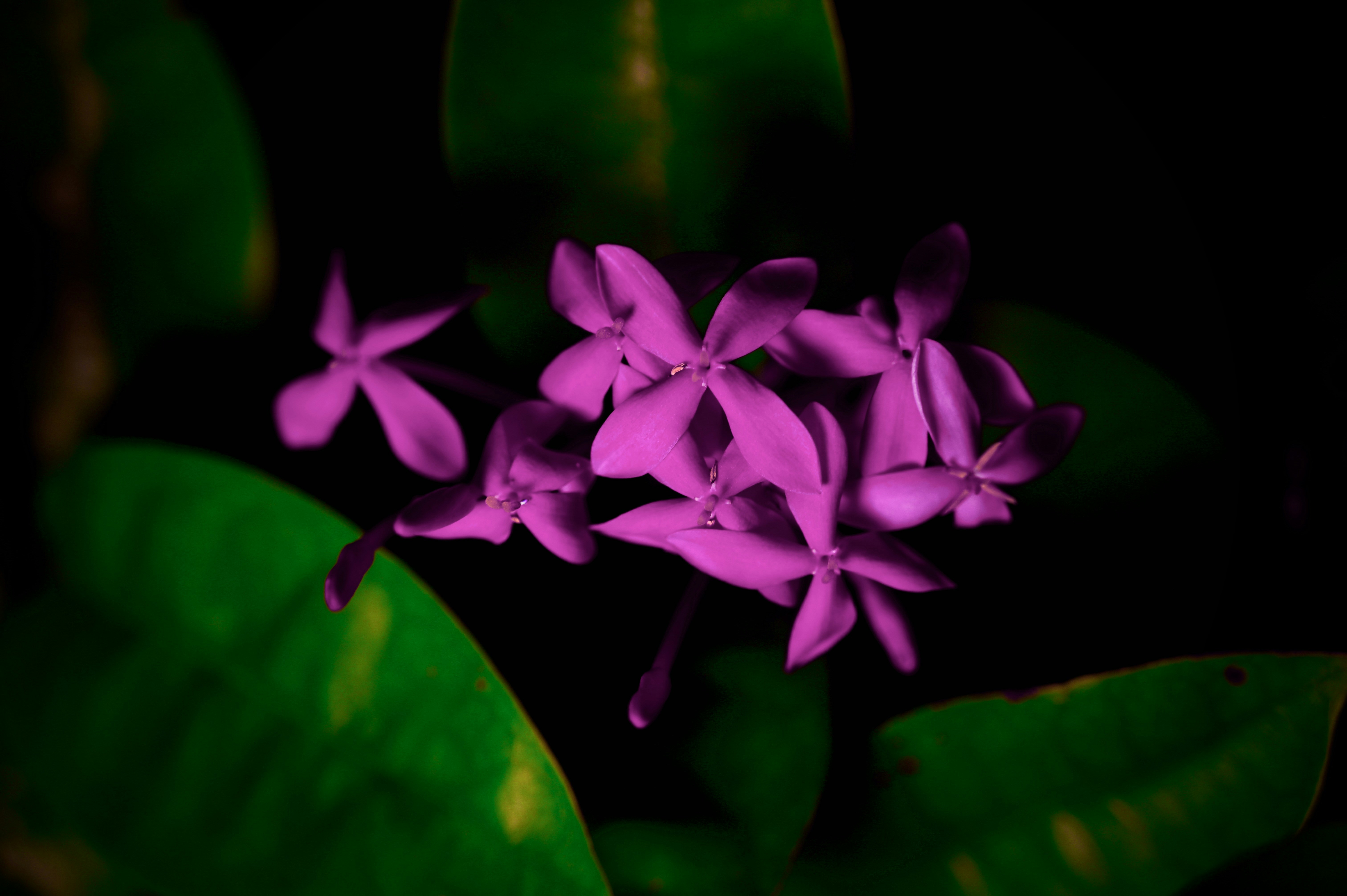 Photo by ojus_jaiswal_