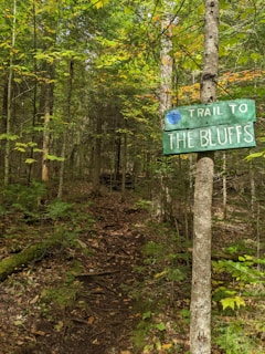 A forested trail leads through dense trees, with a green sign attached to a tree that reads 'Trail to The Bluffs'. The ground is covered in fallen leaves and small plants, creating a natural pathway. Sunlight filters through the canopy, highlighting varying shades of green and some autumnal colors in the foliage.