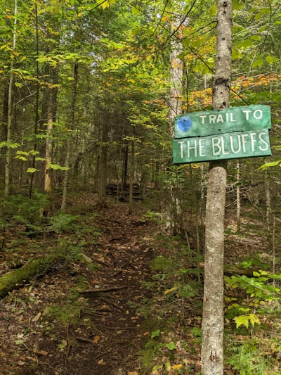 A forested trail leads through dense trees, with a green sign attached to a tree that reads 'Trail to The Bluffs'. The ground is covered in fallen leaves and small plants, creating a natural pathway. Sunlight filters through the canopy, highlighting varying shades of green and some autumnal colors in the foliage.