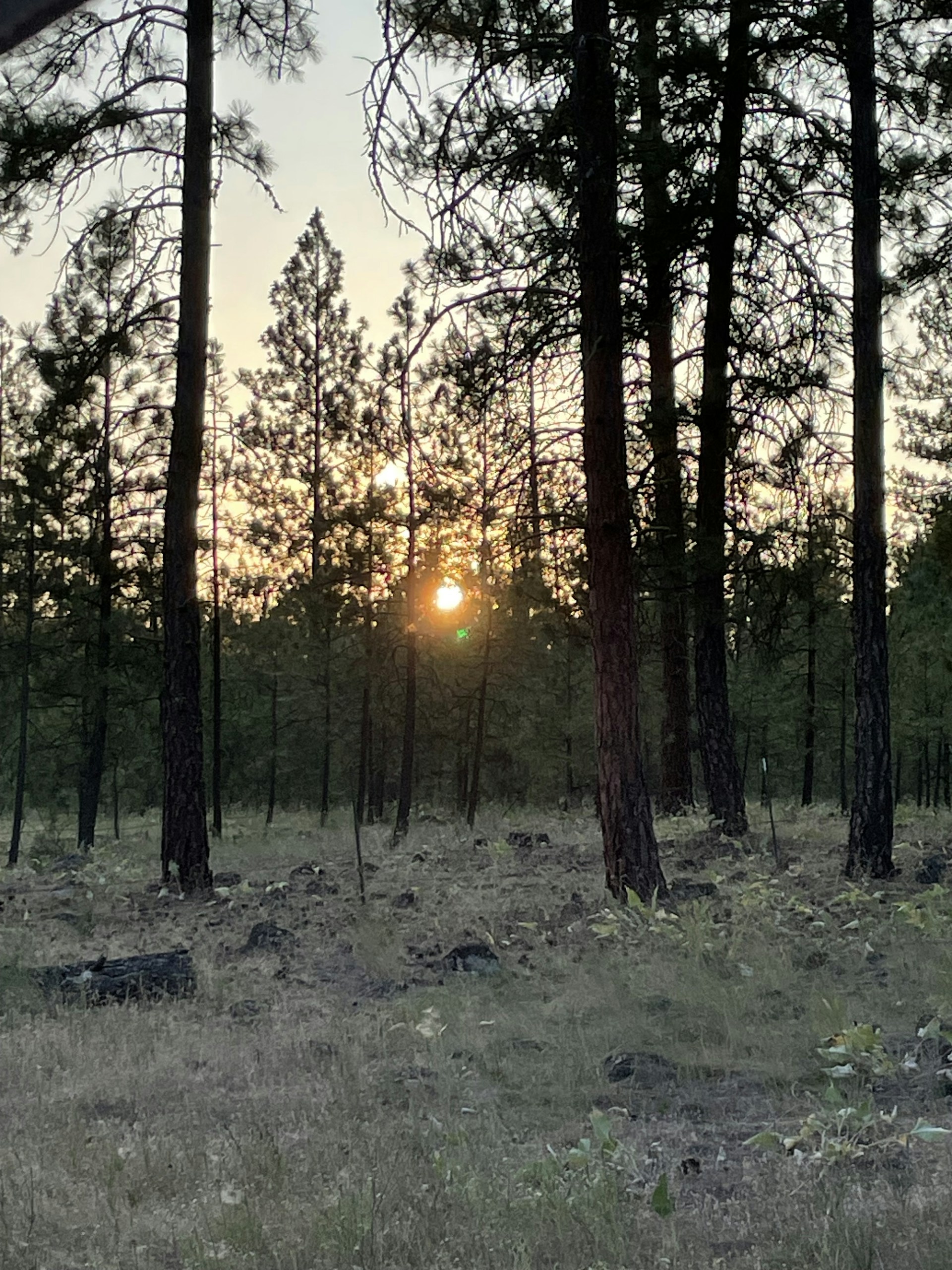 woman wearing yellow long-sleeved dress under white clouds and blue sky during daytime