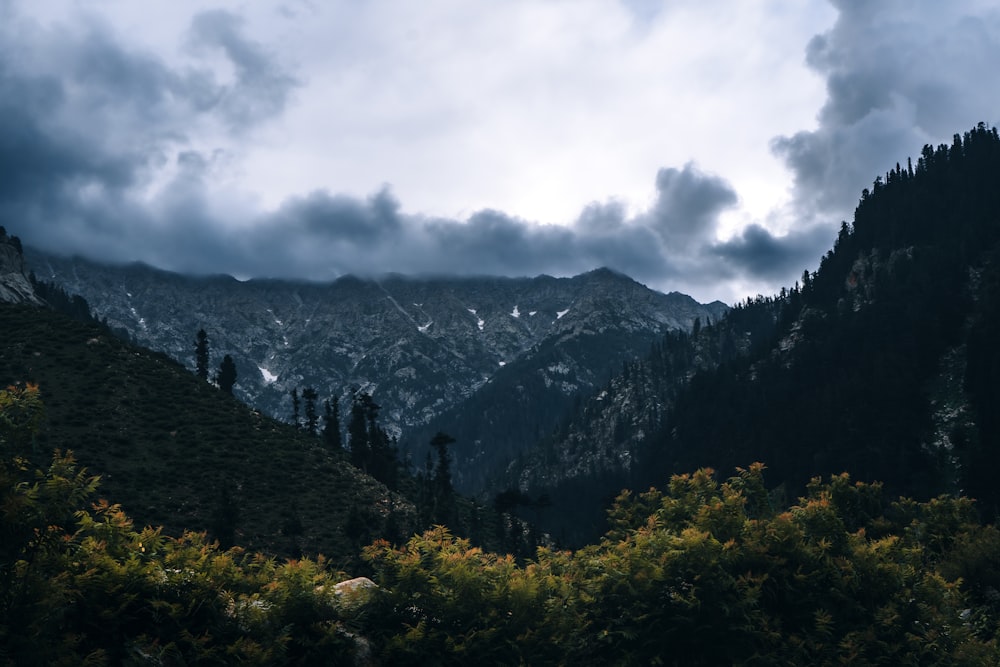 a view of a mountain range with trees in the foreground