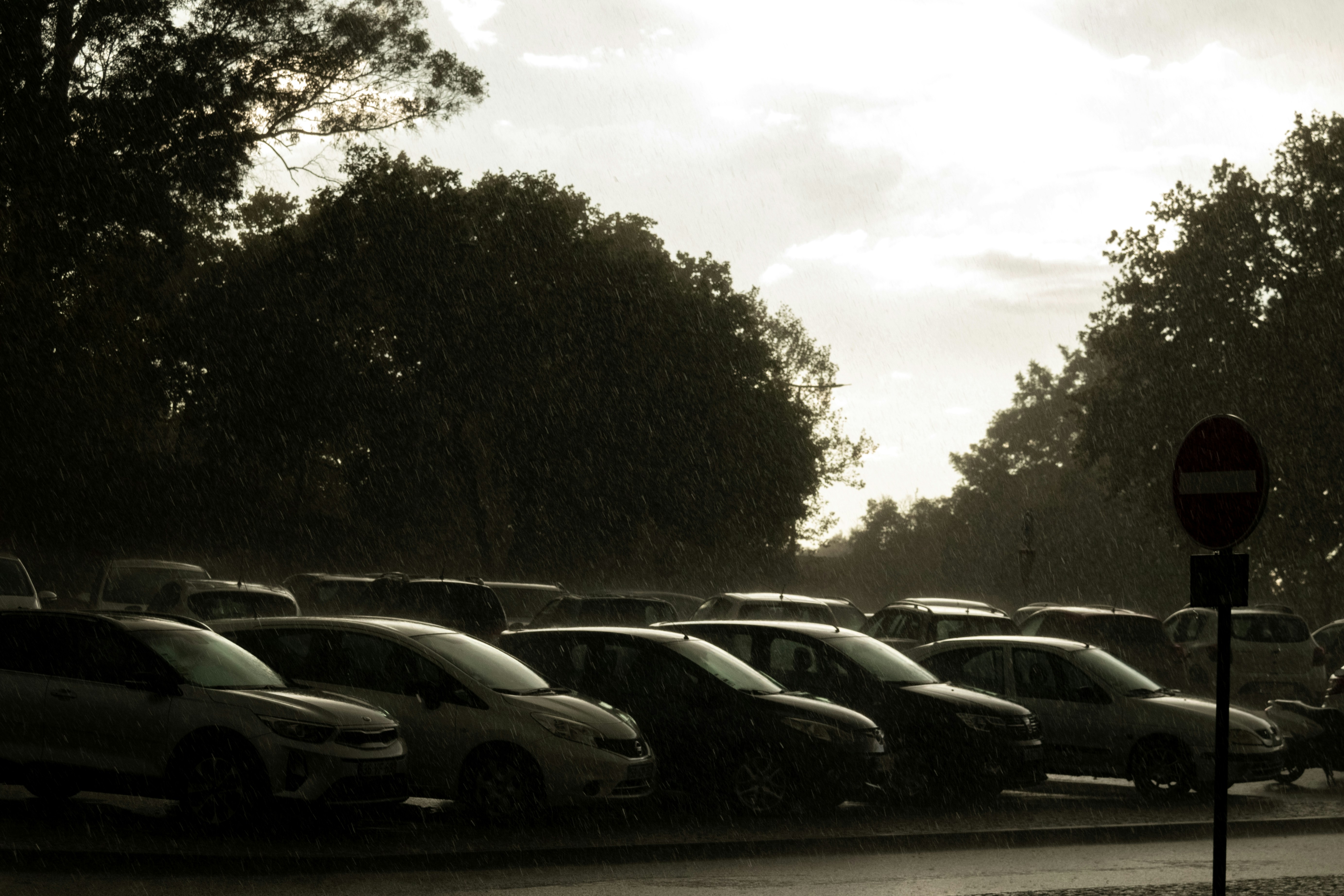 Row of affordable used electric cars lined up on a dealership lot