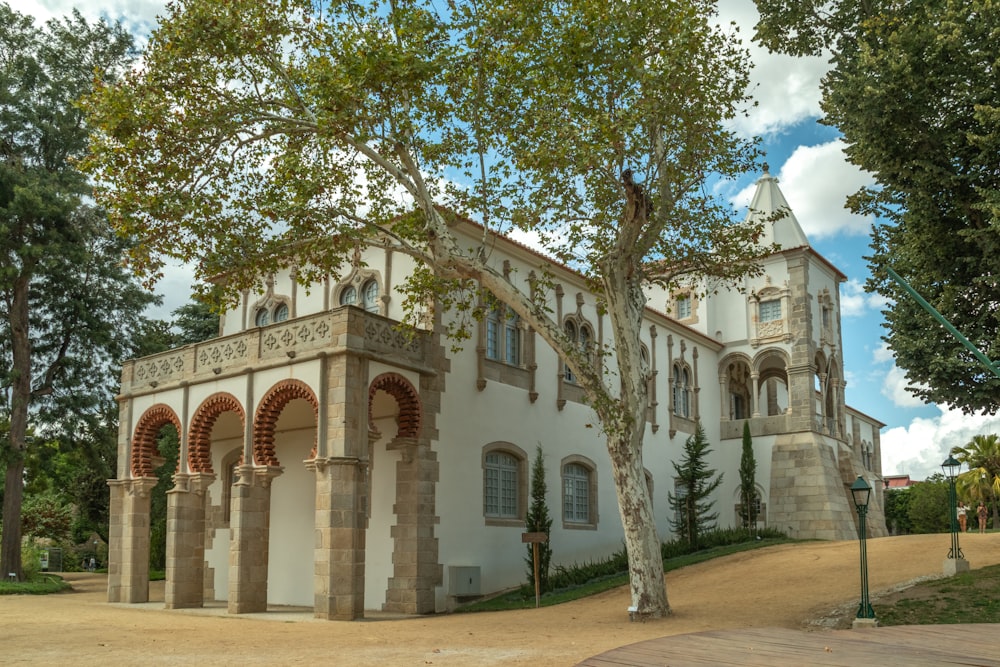 a large white building with a tree in front of it