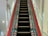 A satisfied customer standing next to a well-maintained escalator.