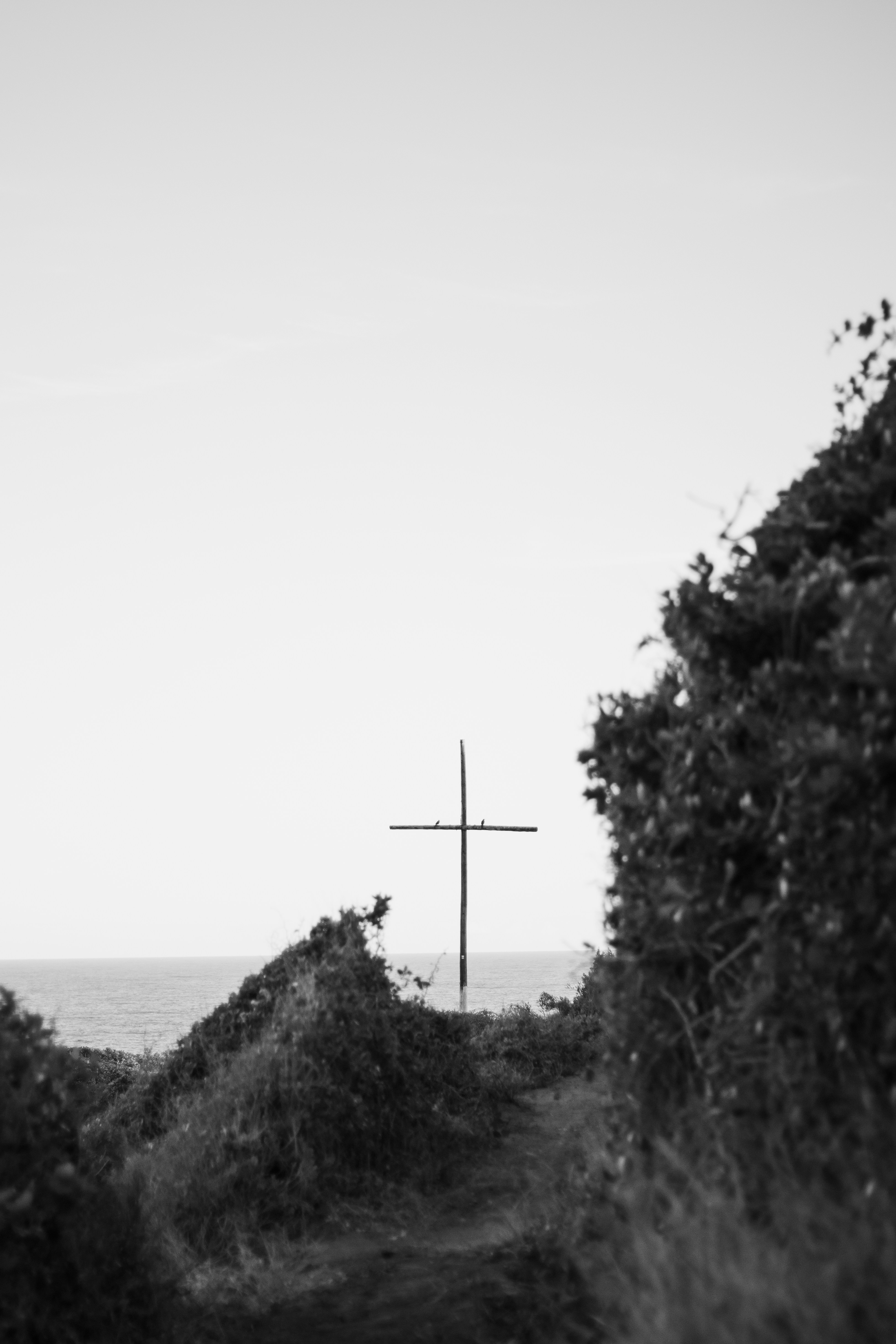 Photo by ashford_marx