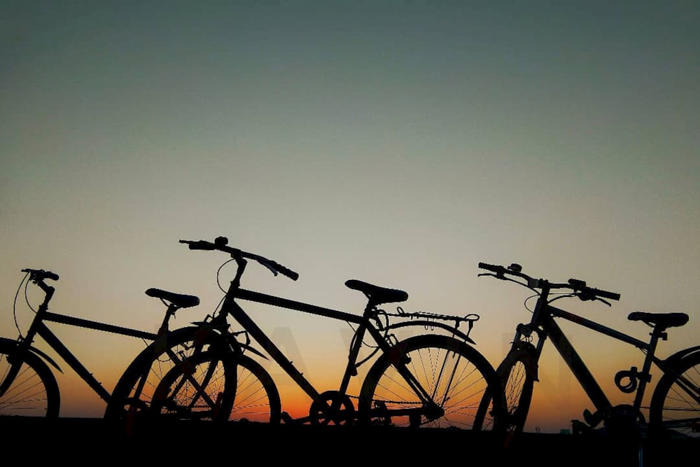 um grupo de bicicletas estacionadas uma ao lado da outra