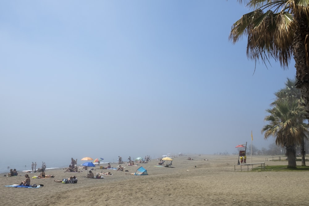 a group of people sitting on top of a sandy beach