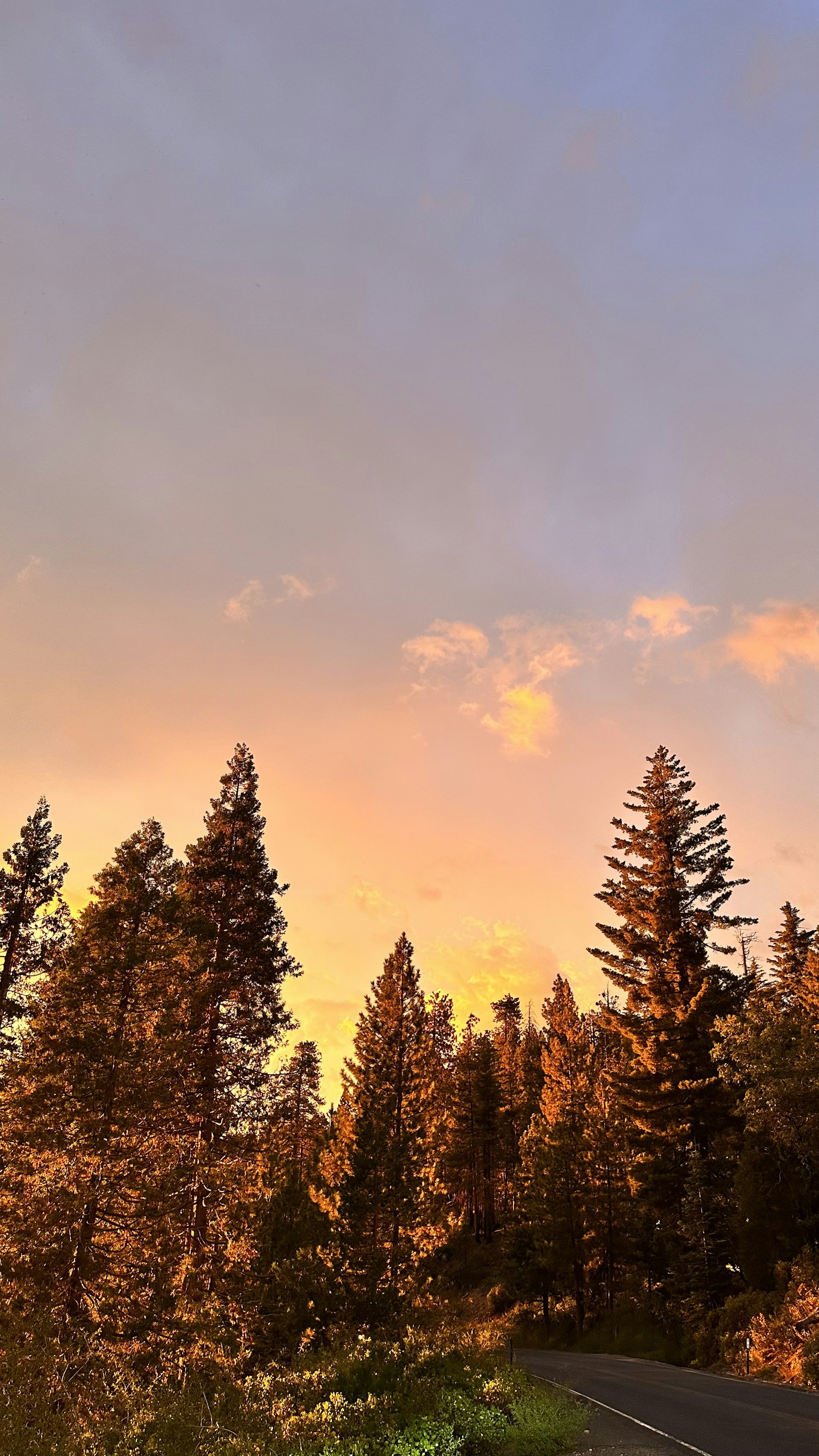 woman wearing yellow long-sleeved dress under white clouds and blue sky during daytime