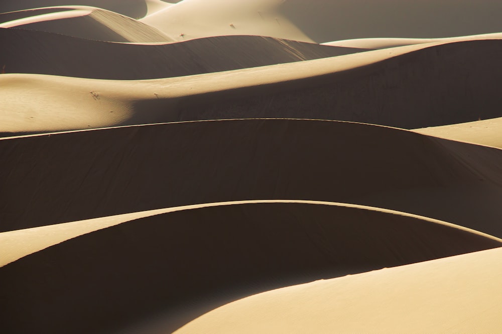 a group of sand dunes in the desert