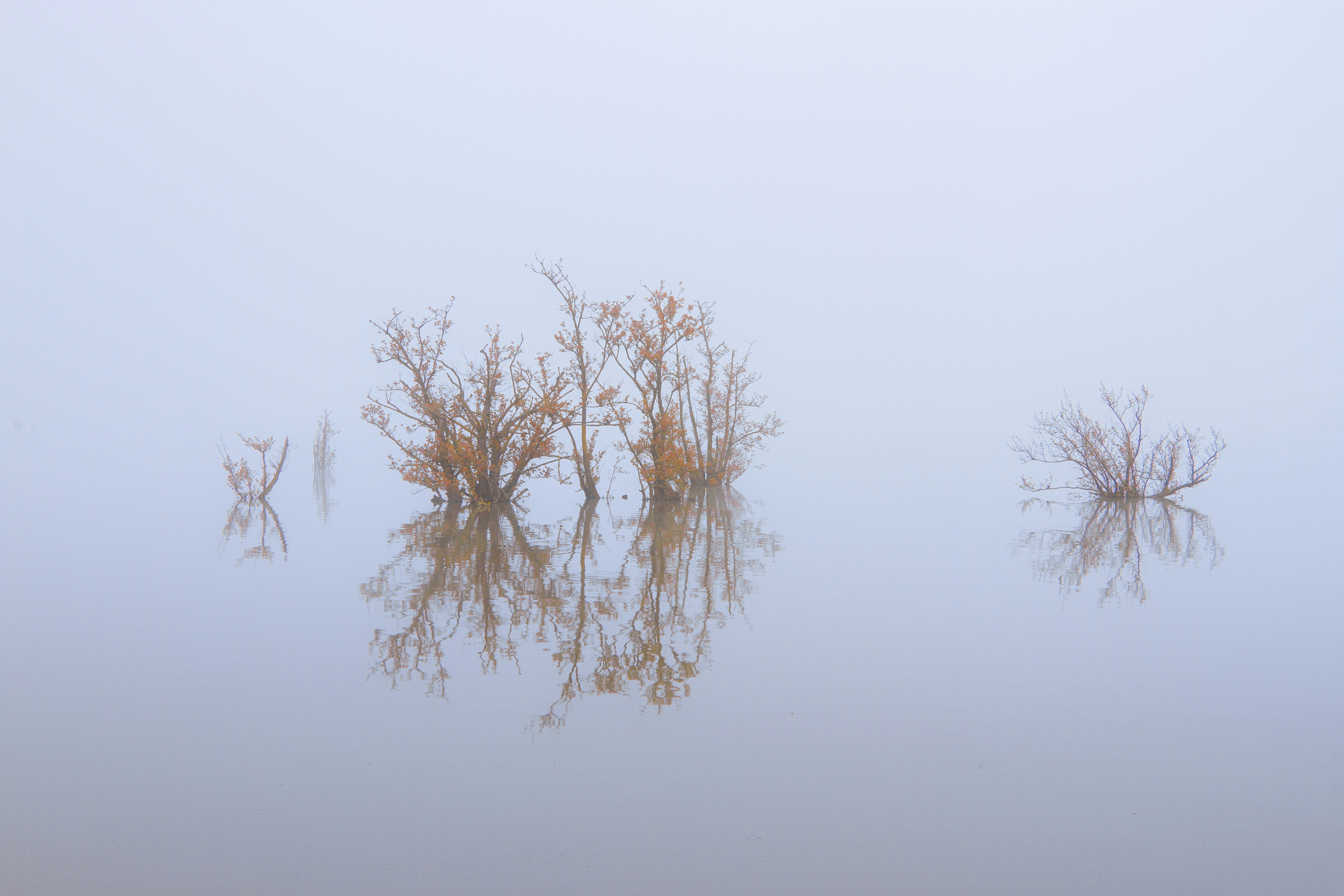 Photo by farazahanin