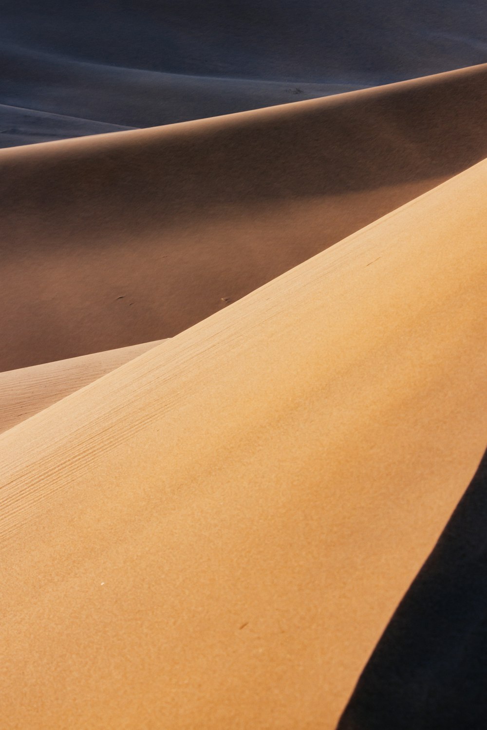 a person riding a bike on top of a sand dune