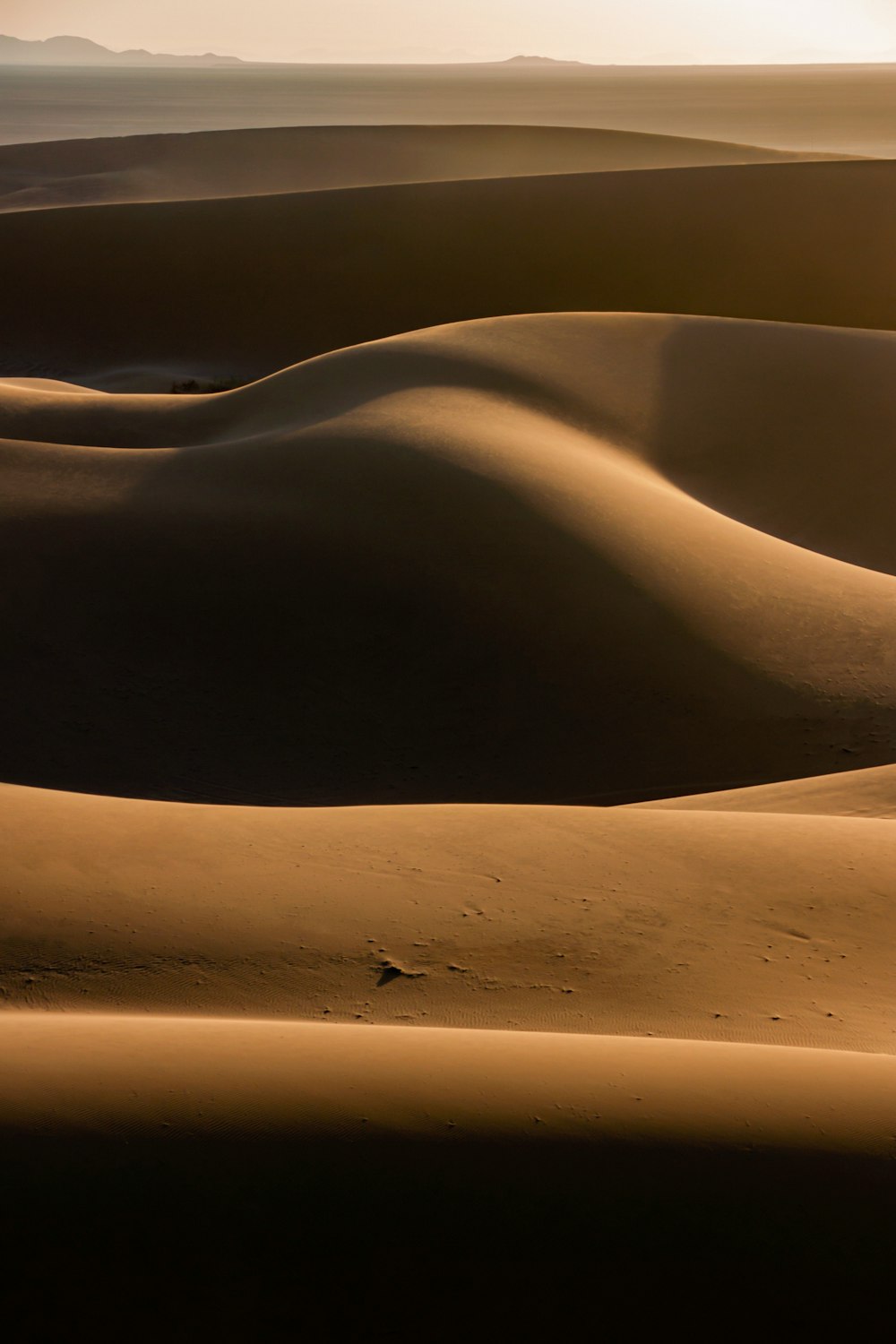 the sun shines on the sand dunes in the desert