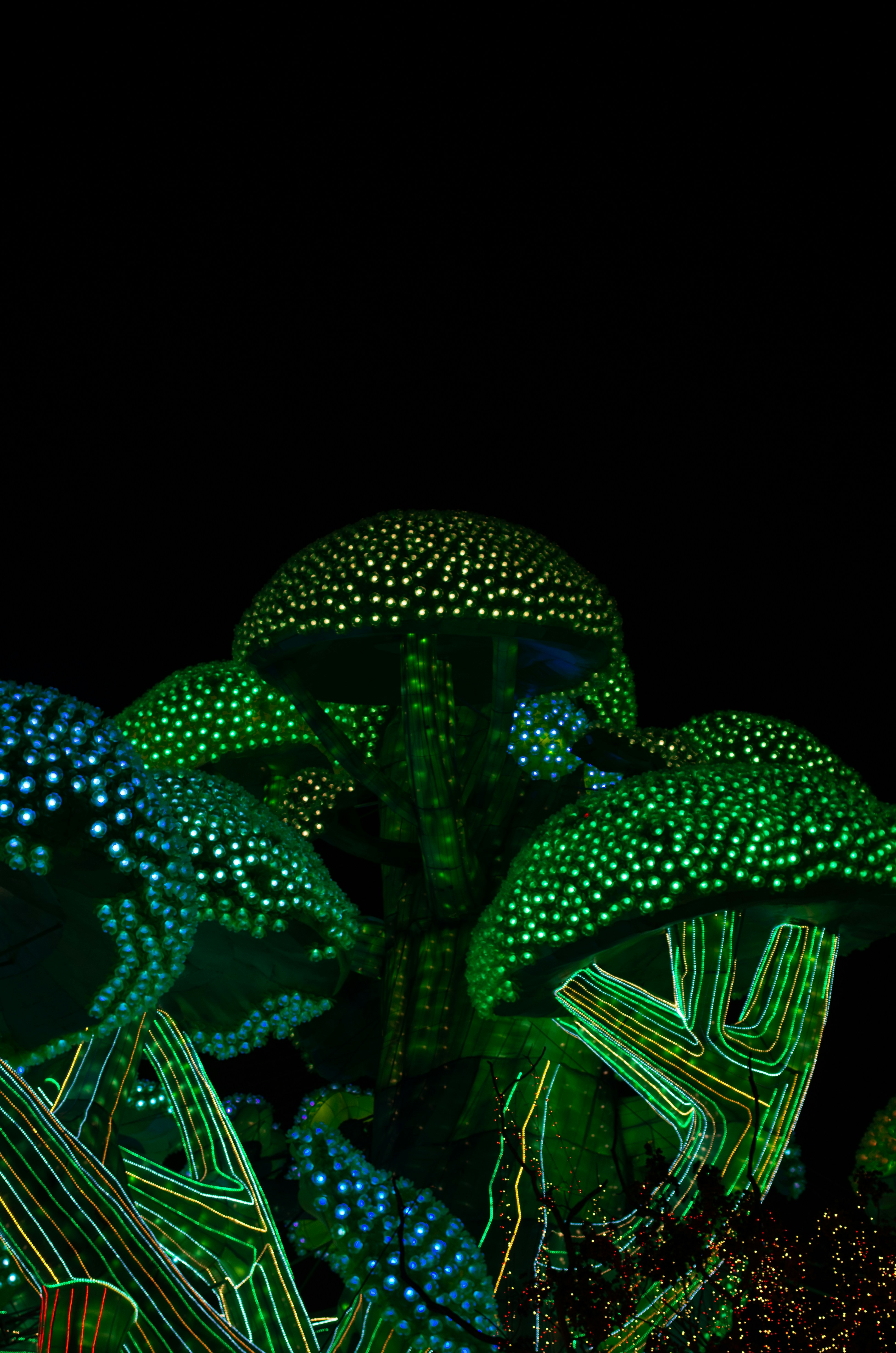 a bunch of lights that are on a tree