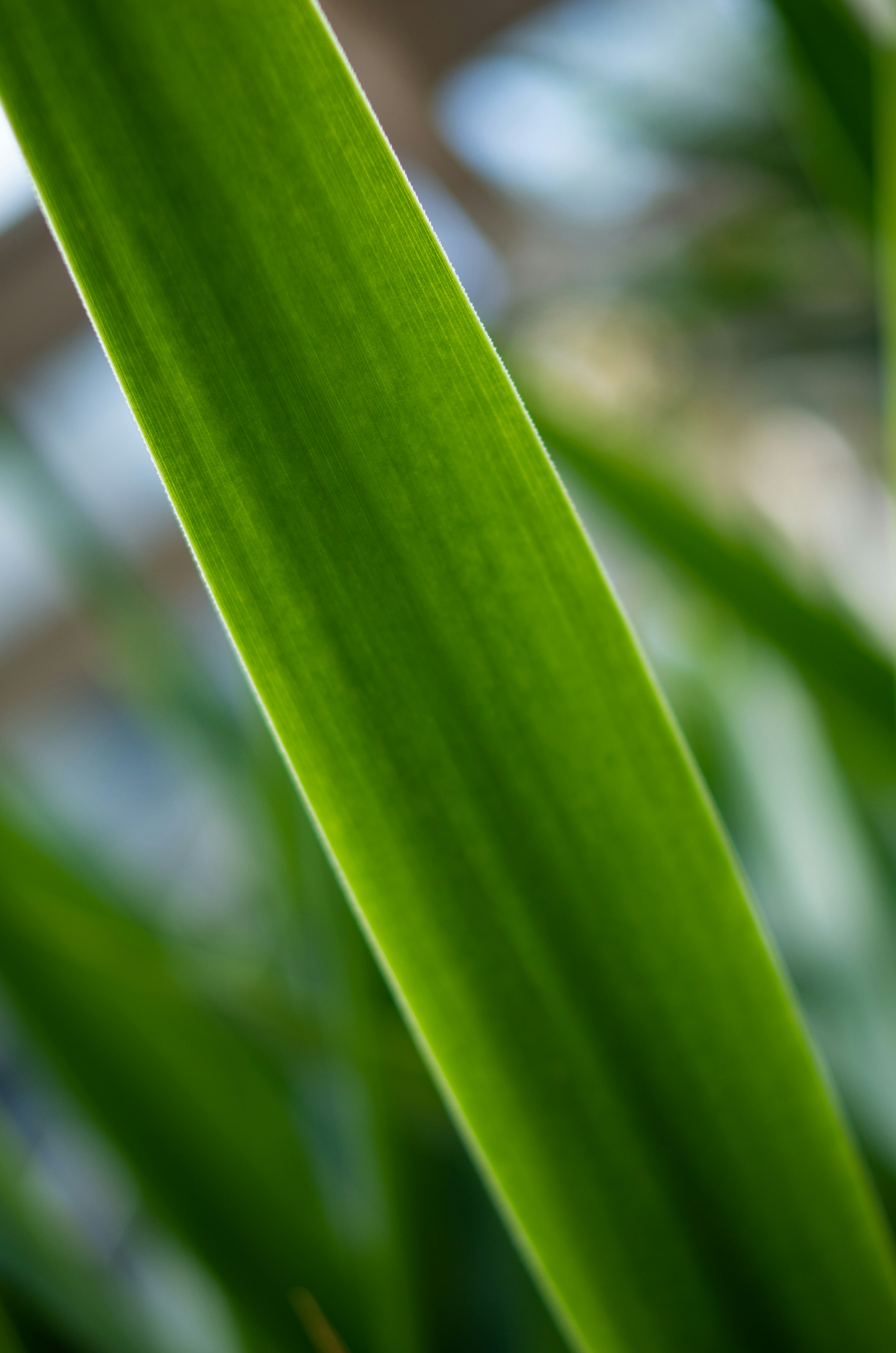 Photo by bigstarworkroom