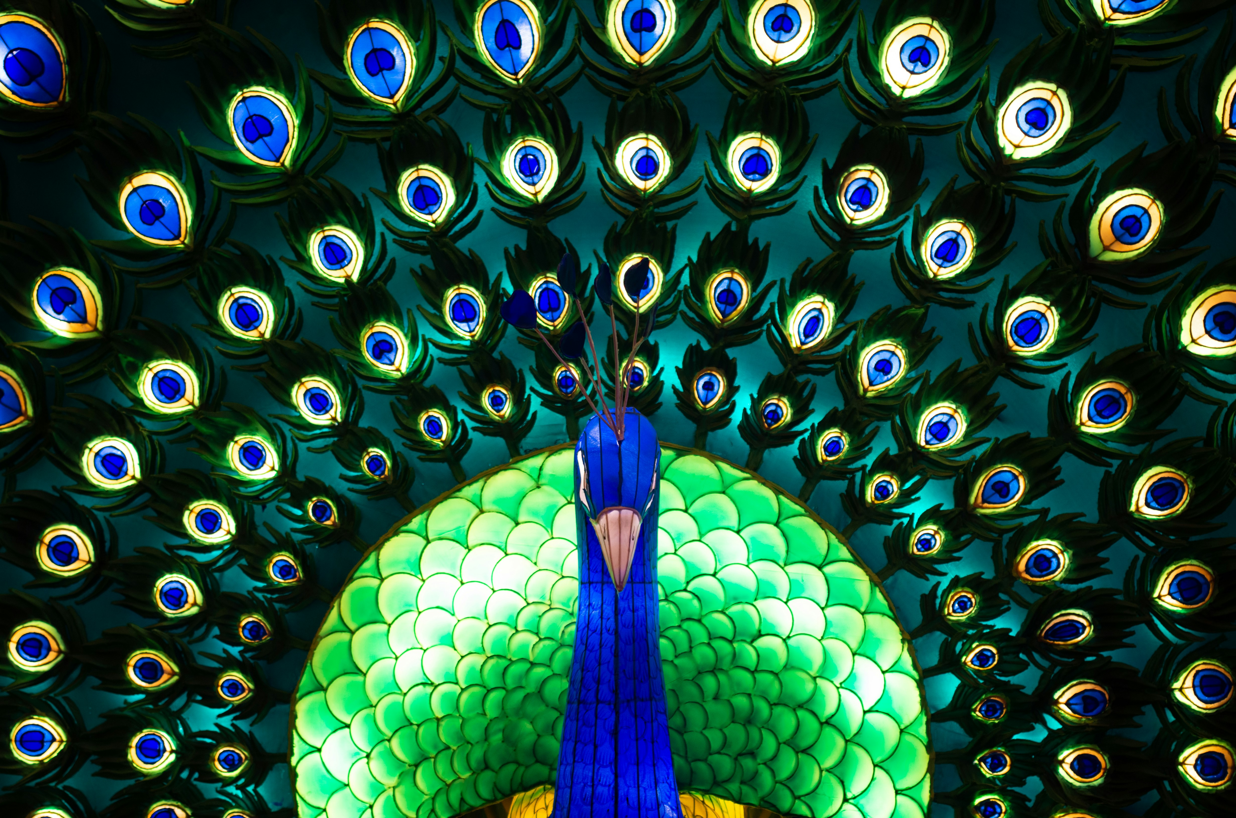 Photo by bigstarworkroom