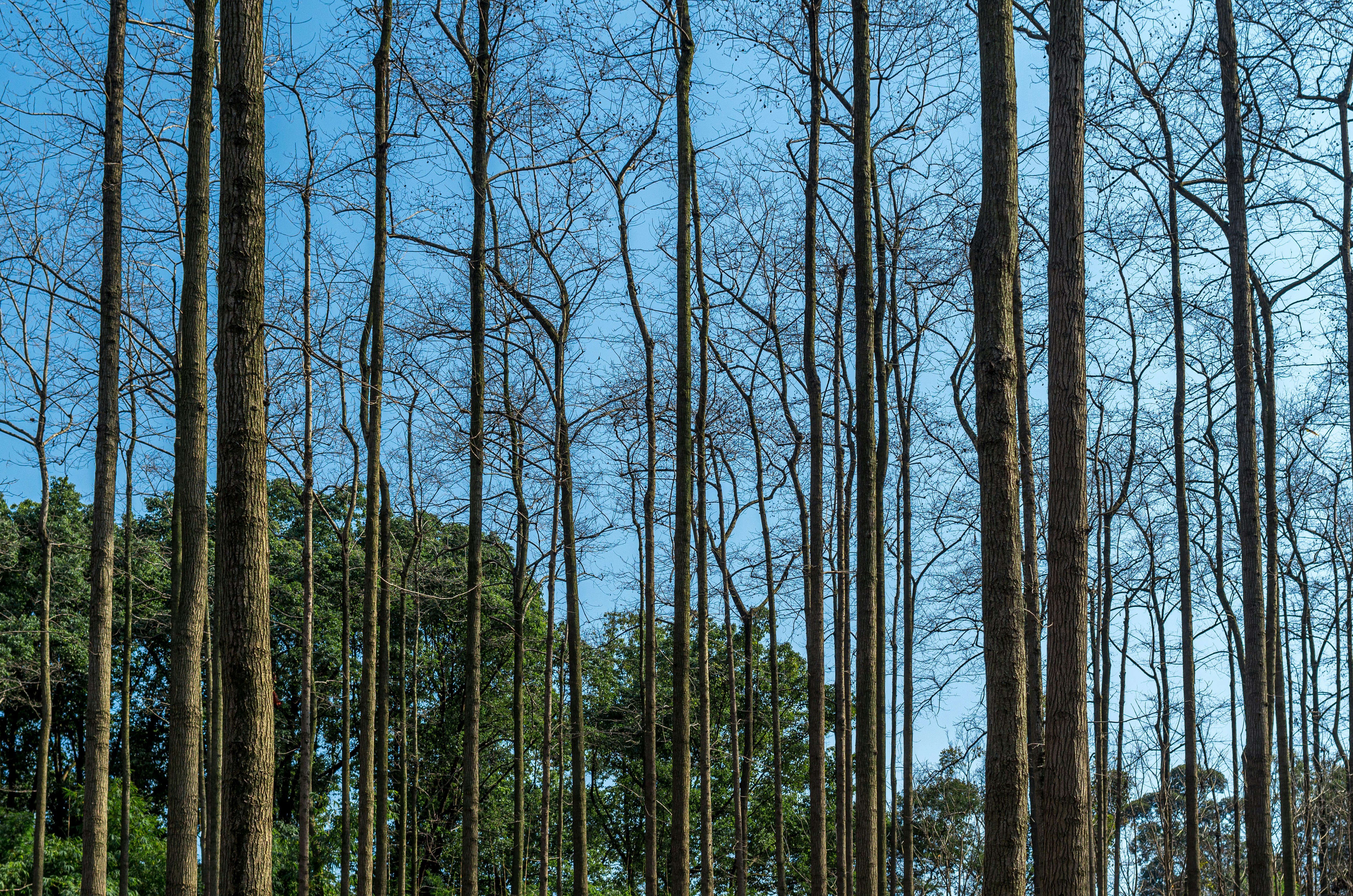 Photo by bigstarworkroom