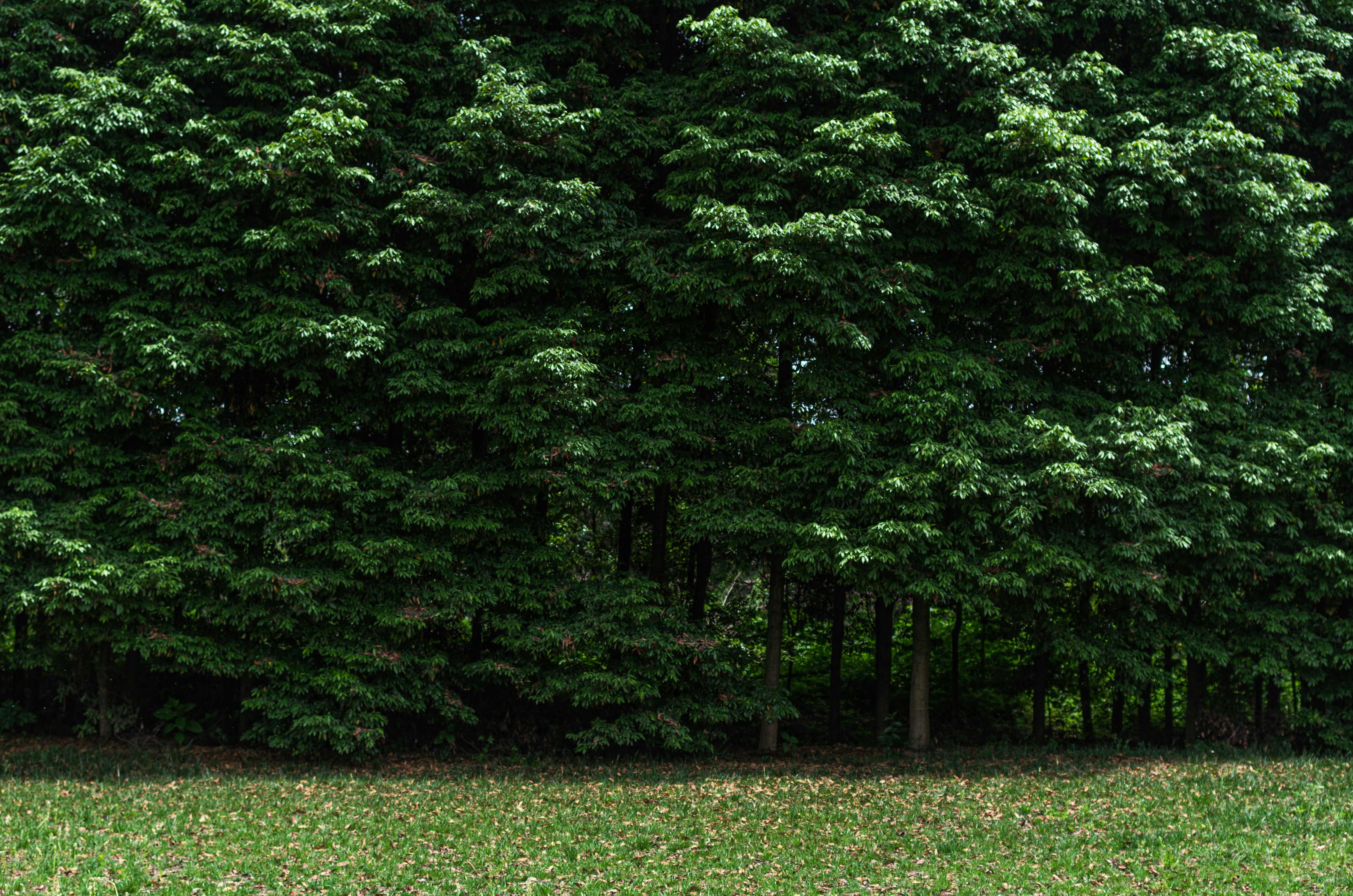 Photo by bigstarworkroom