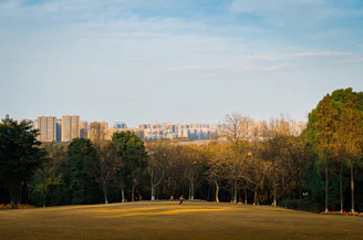 A wide open plot with fresh grass and a distant view of modern infrastructure near Noida airport.