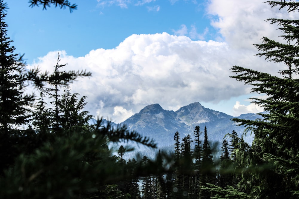 a view of a mountain through the trees