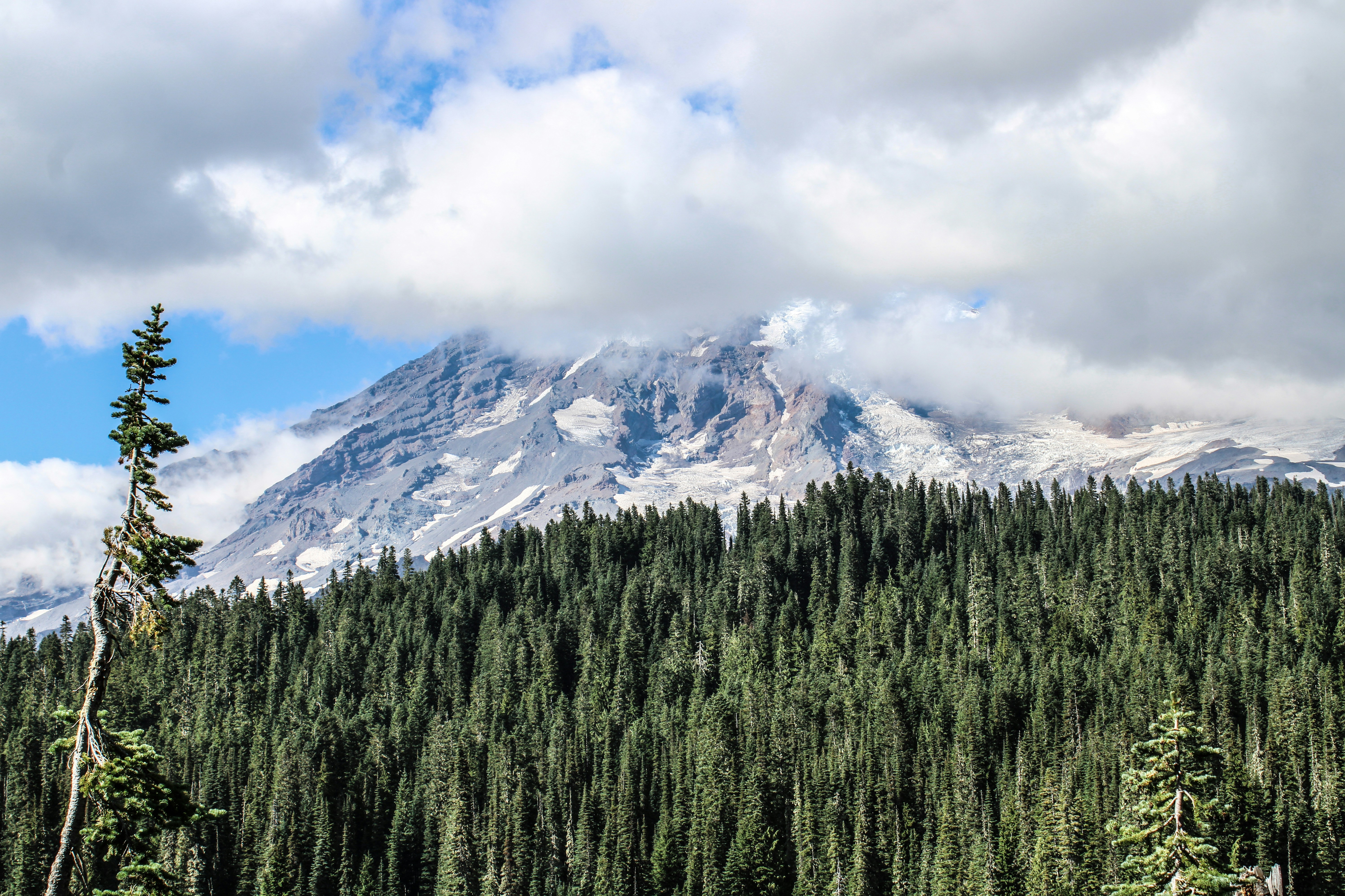 Photo by prphotography262