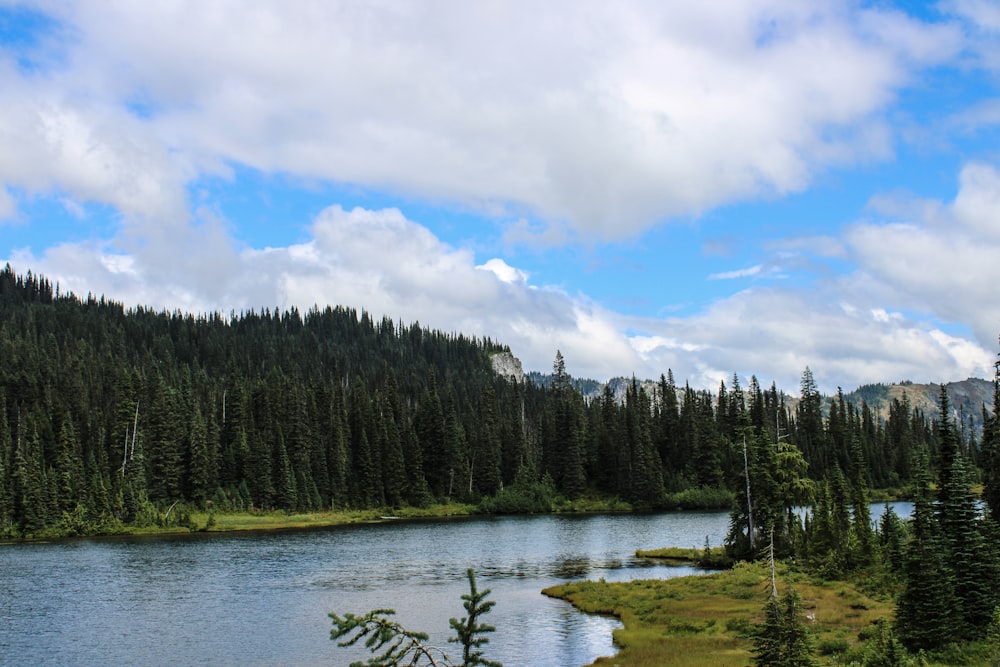 a lake in the middle of a forest