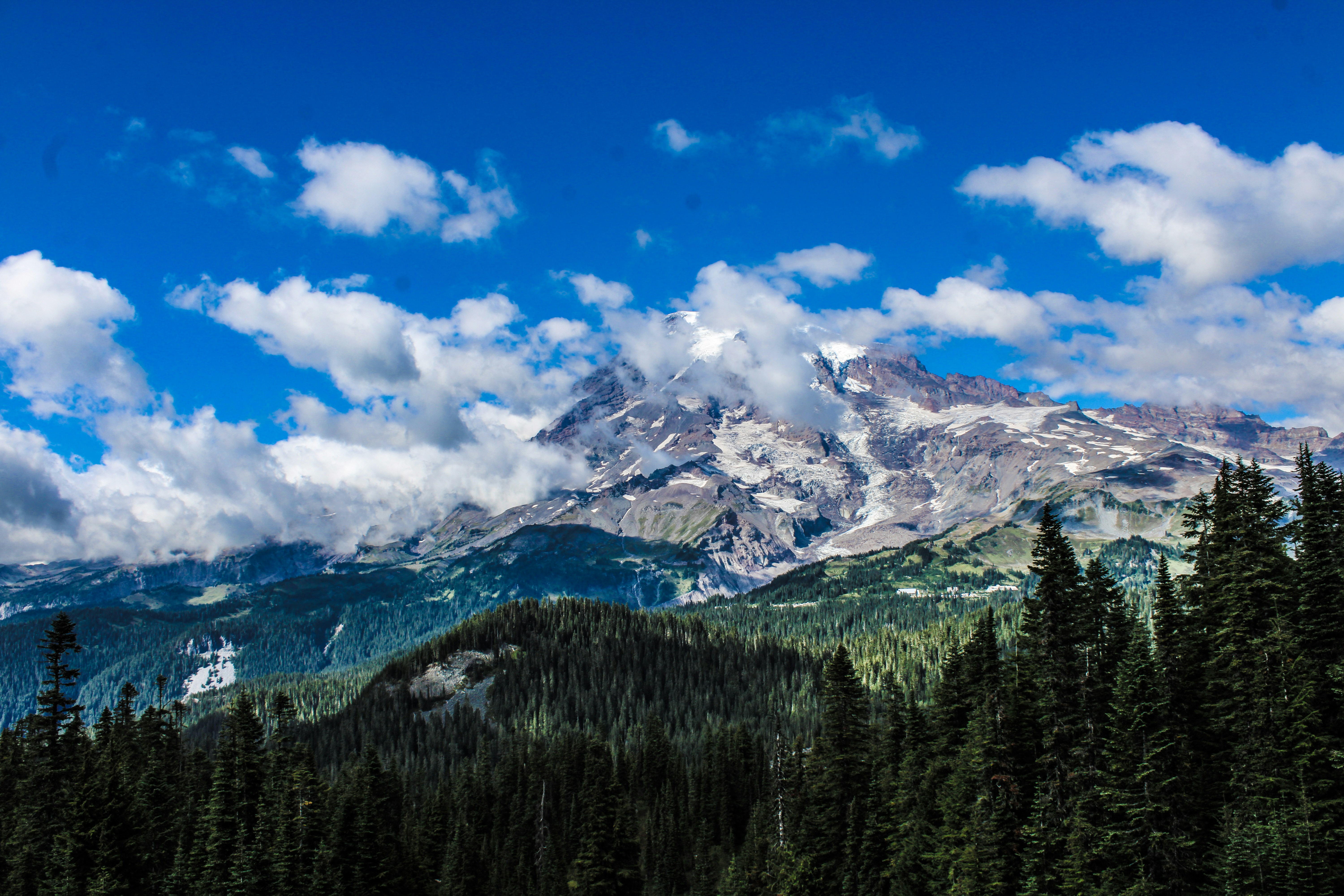 Photo by prphotography262