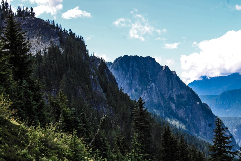 a view of a mountain range with trees and mountains in the background