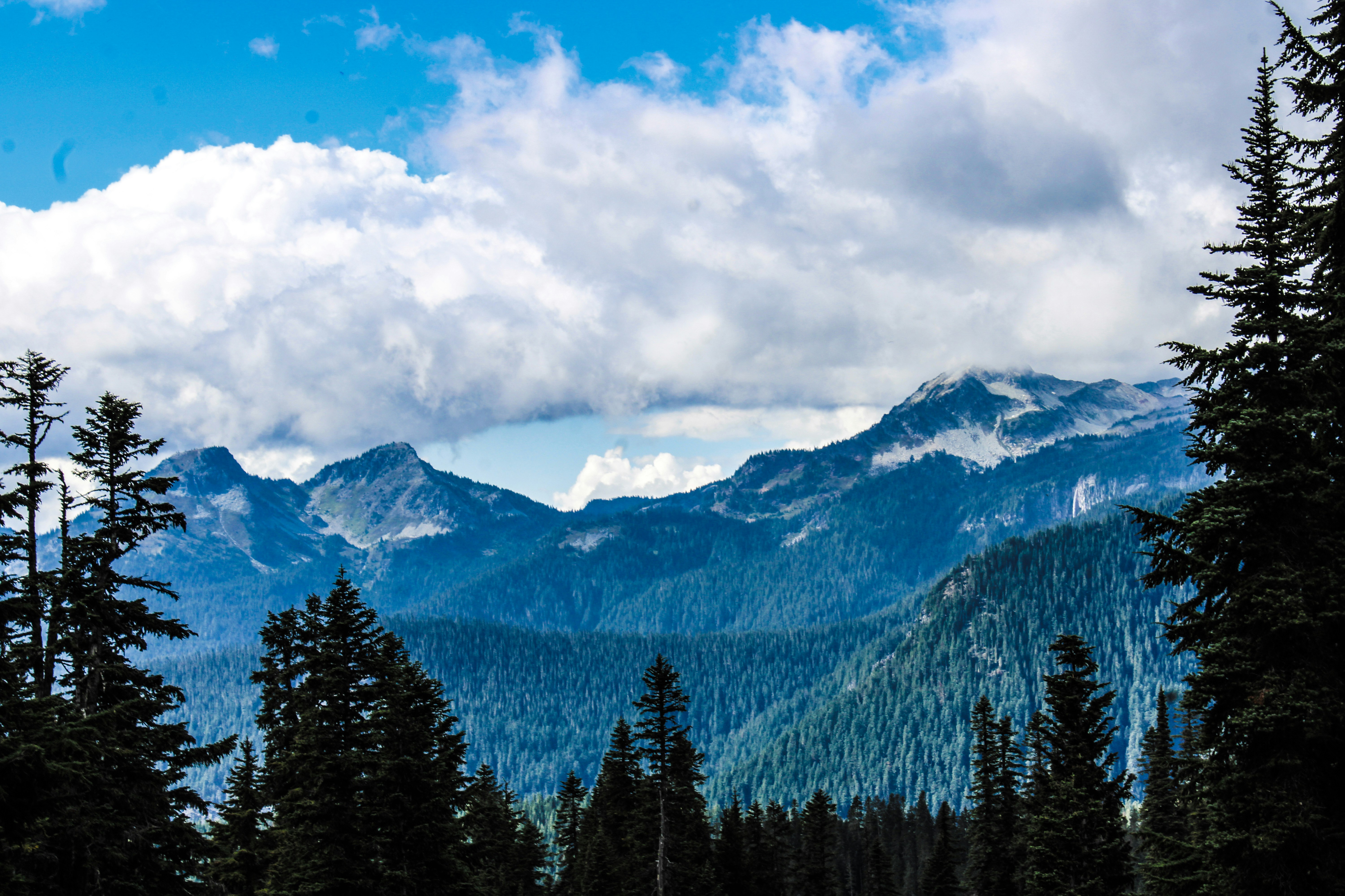 Photo by prphotography262