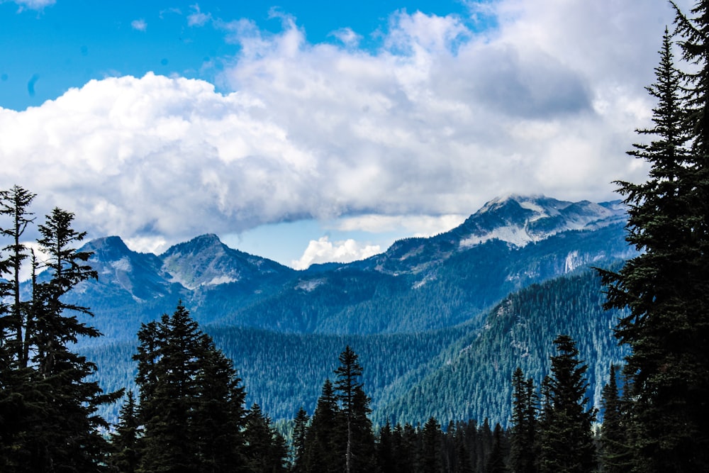 a scenic view of a mountain range with trees in the foreground