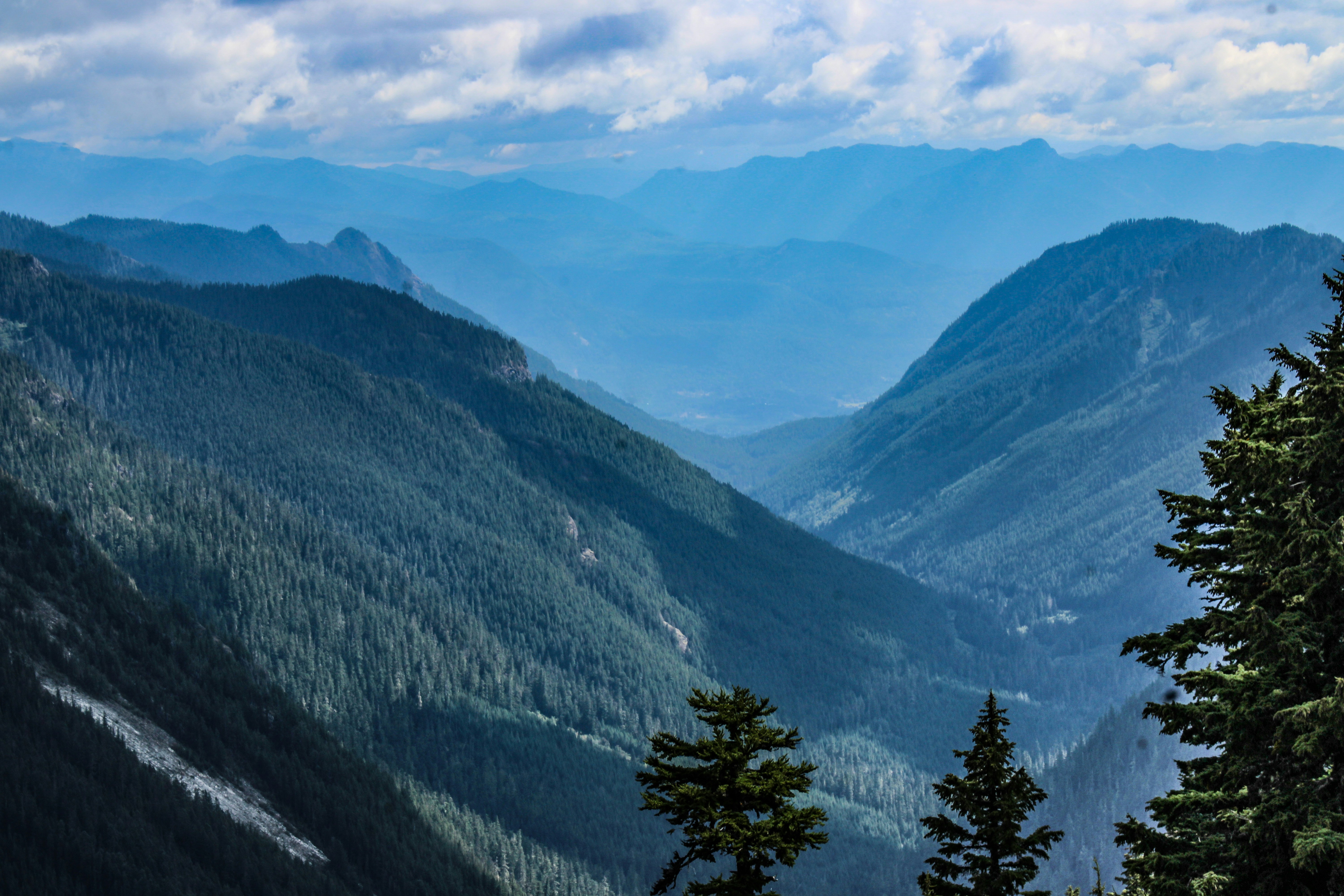 Photo by prphotography262