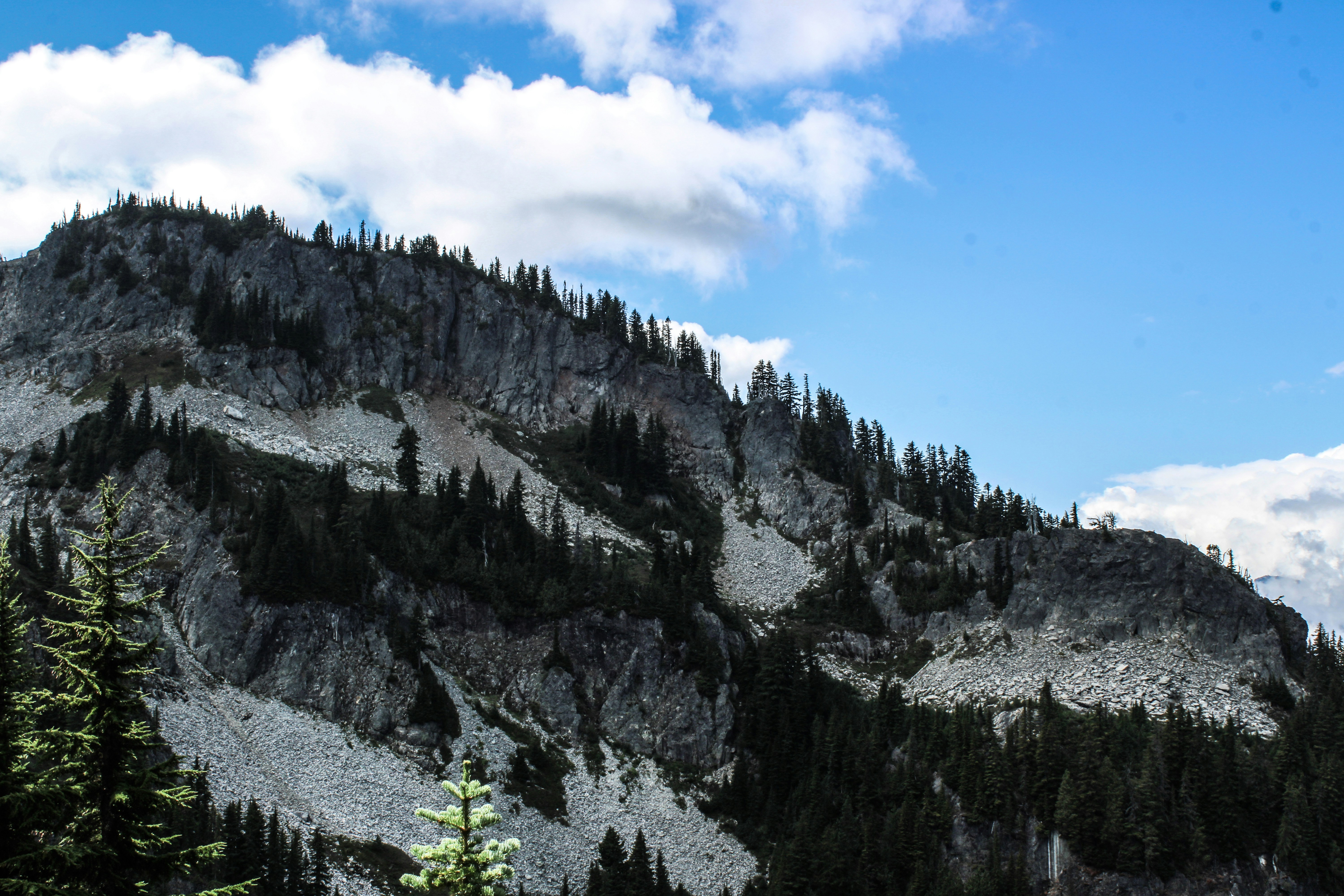 Photo by prphotography262