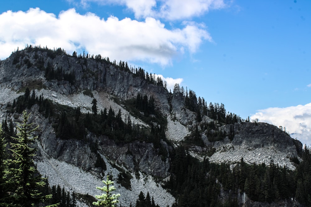 a mountain with trees on the side of it