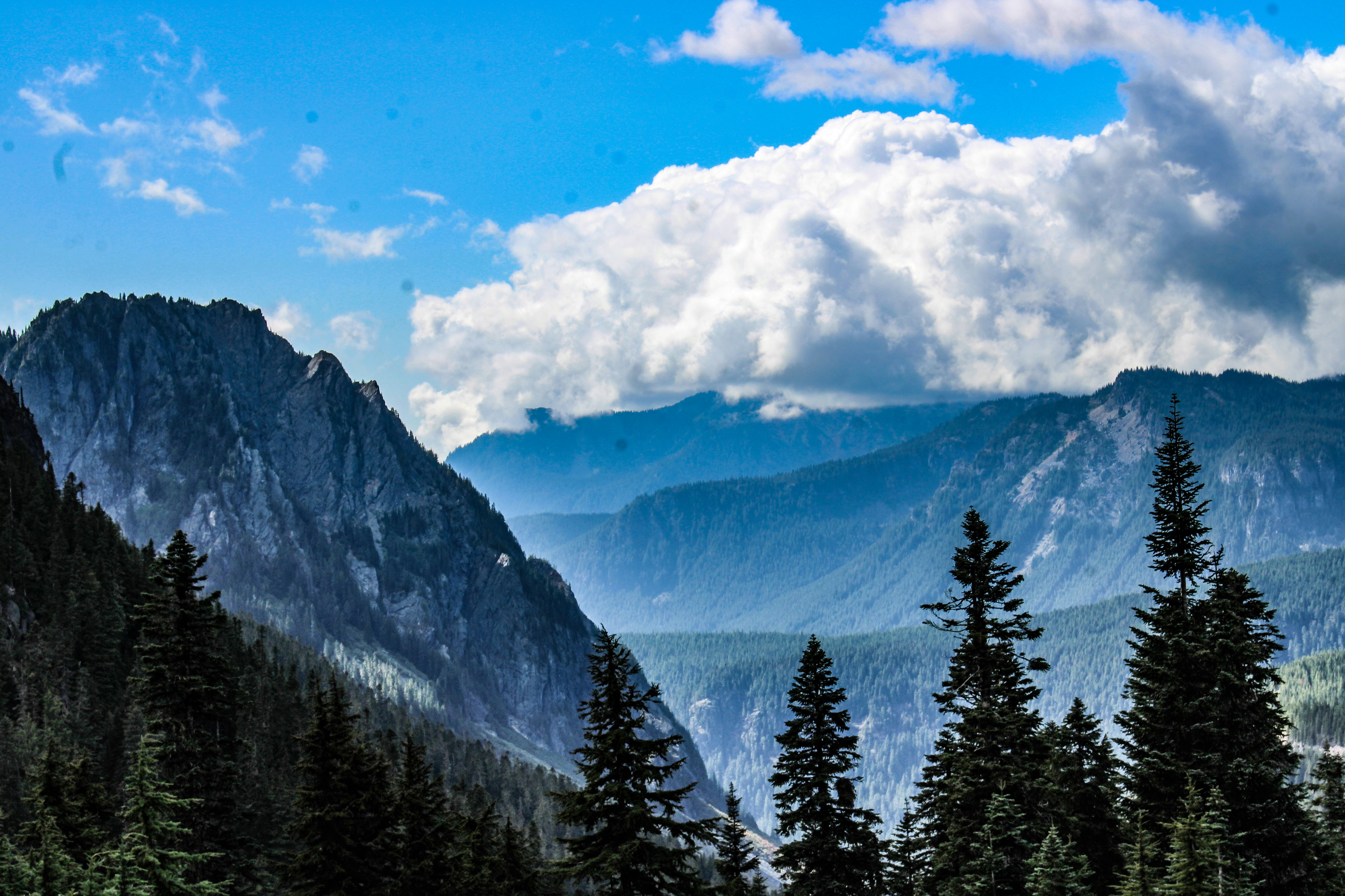 Photo by prphotography262