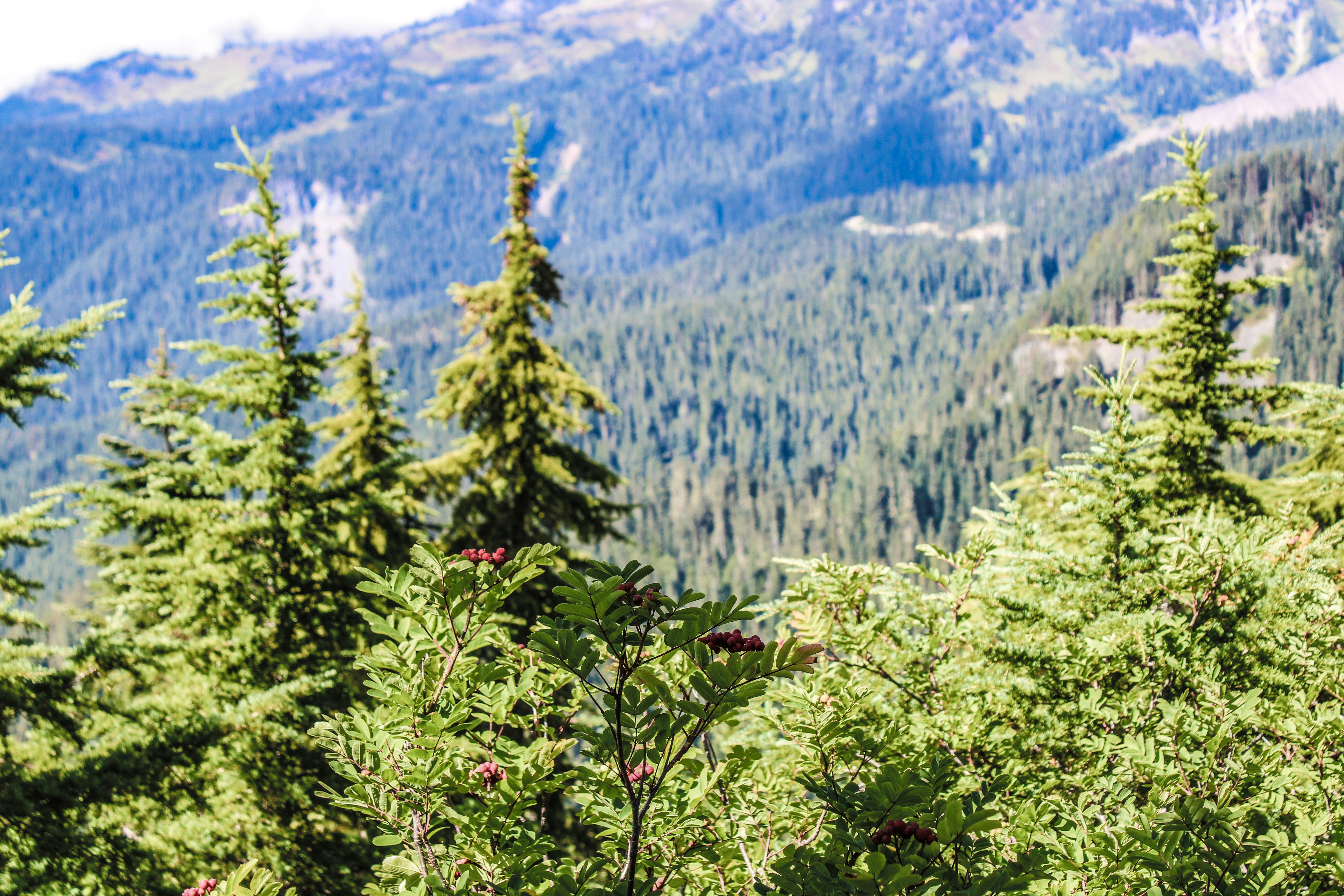 Photo by prphotography262