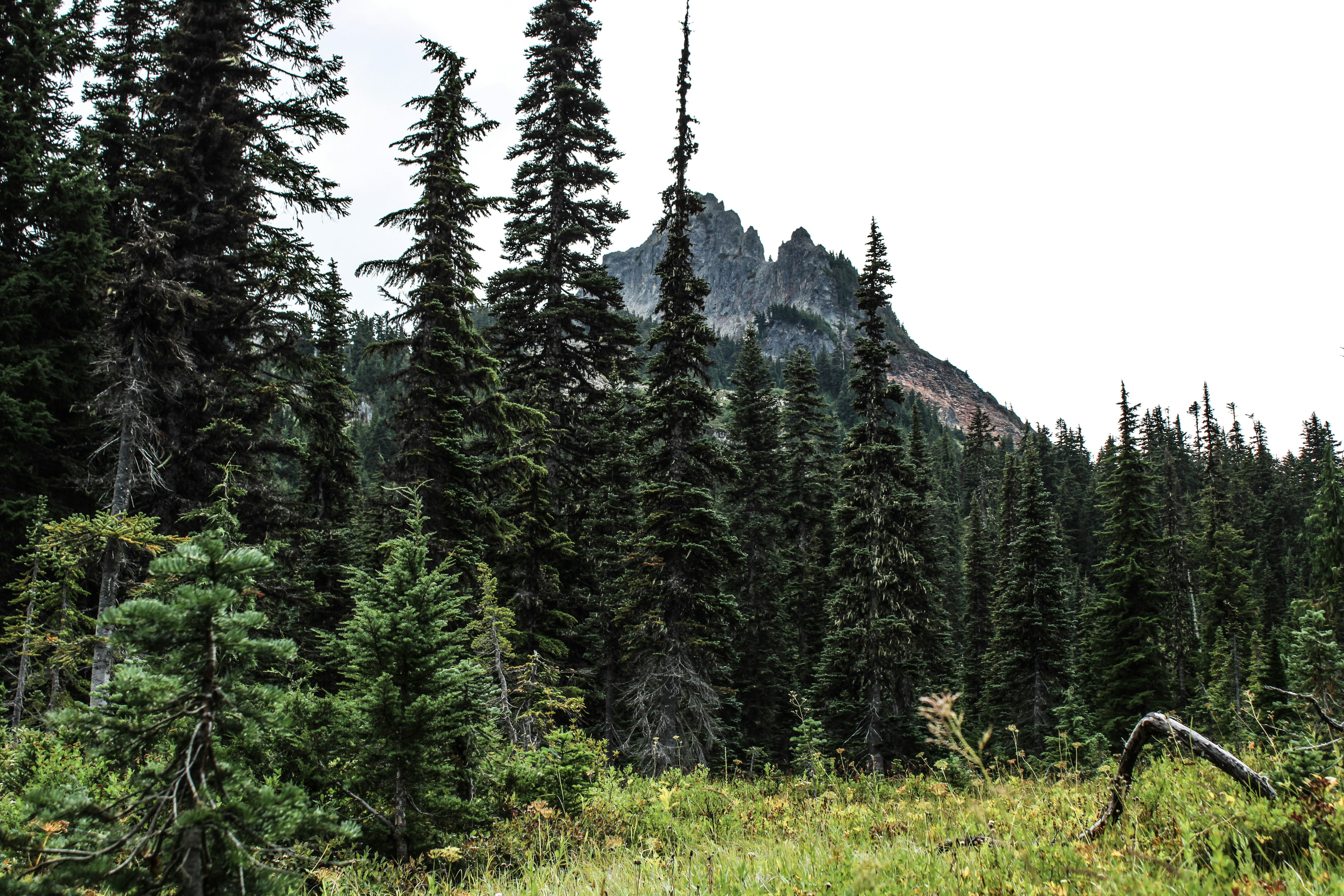 Photo by prphotography262