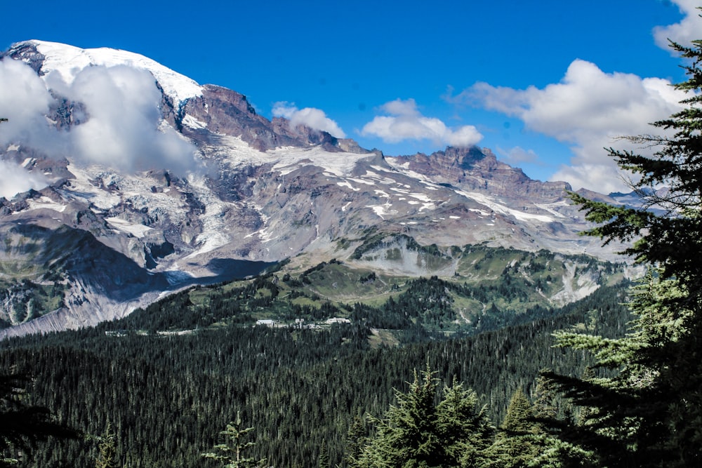 a mountain covered in snow and surrounded by trees