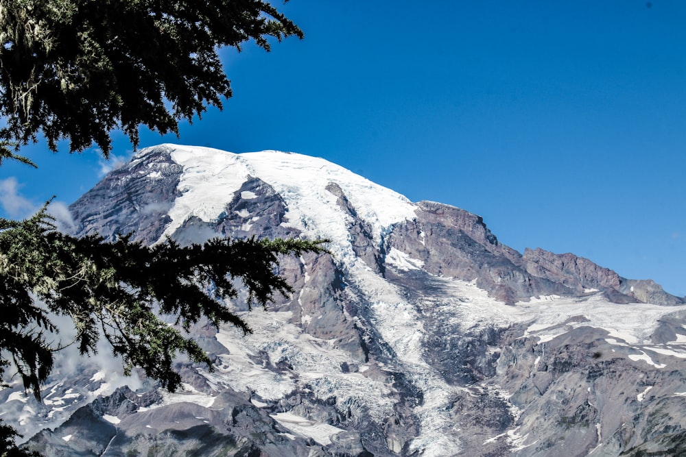 a snow covered mountain is seen through the branches of a tree