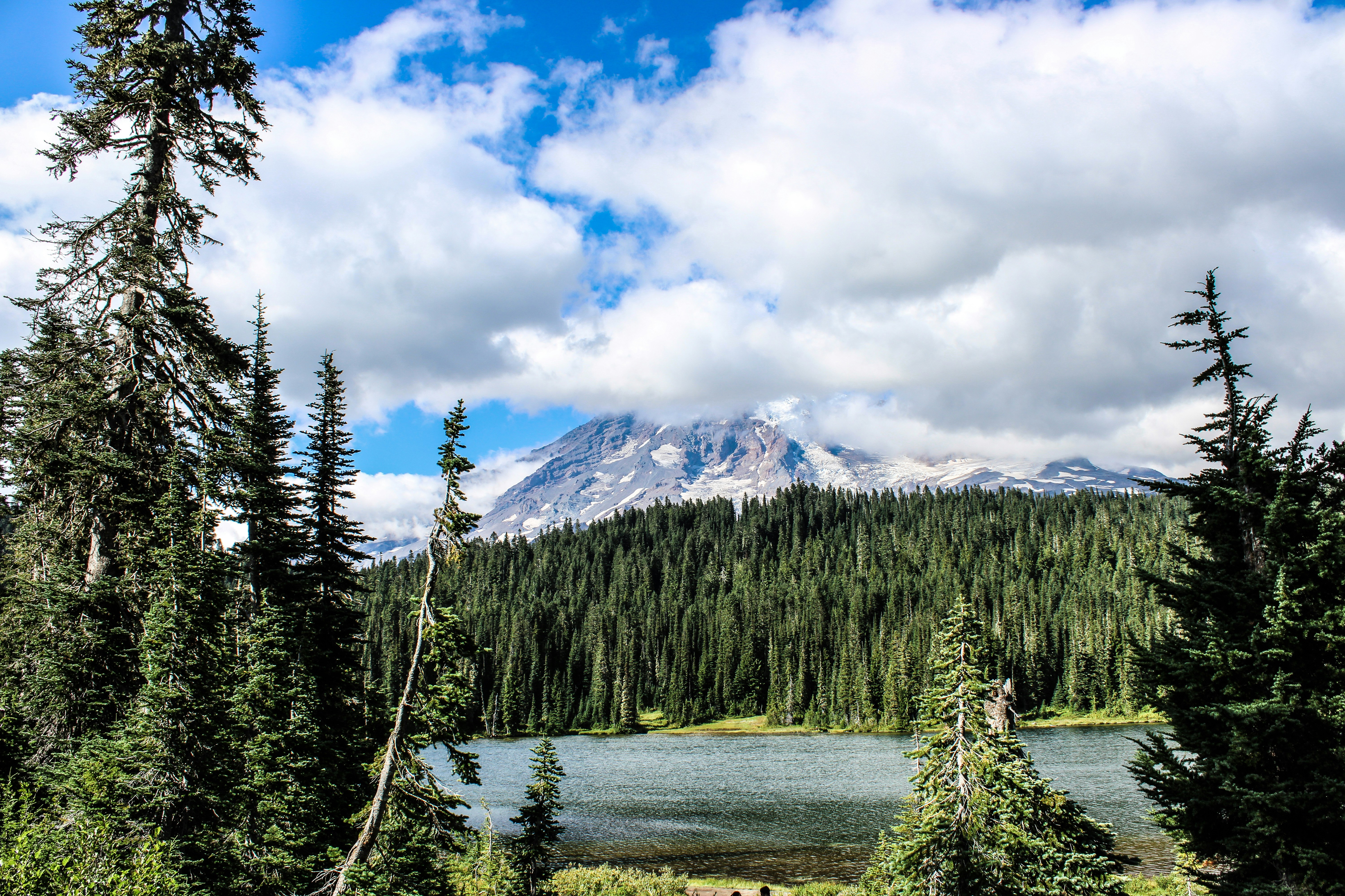 Photo by prphotography262