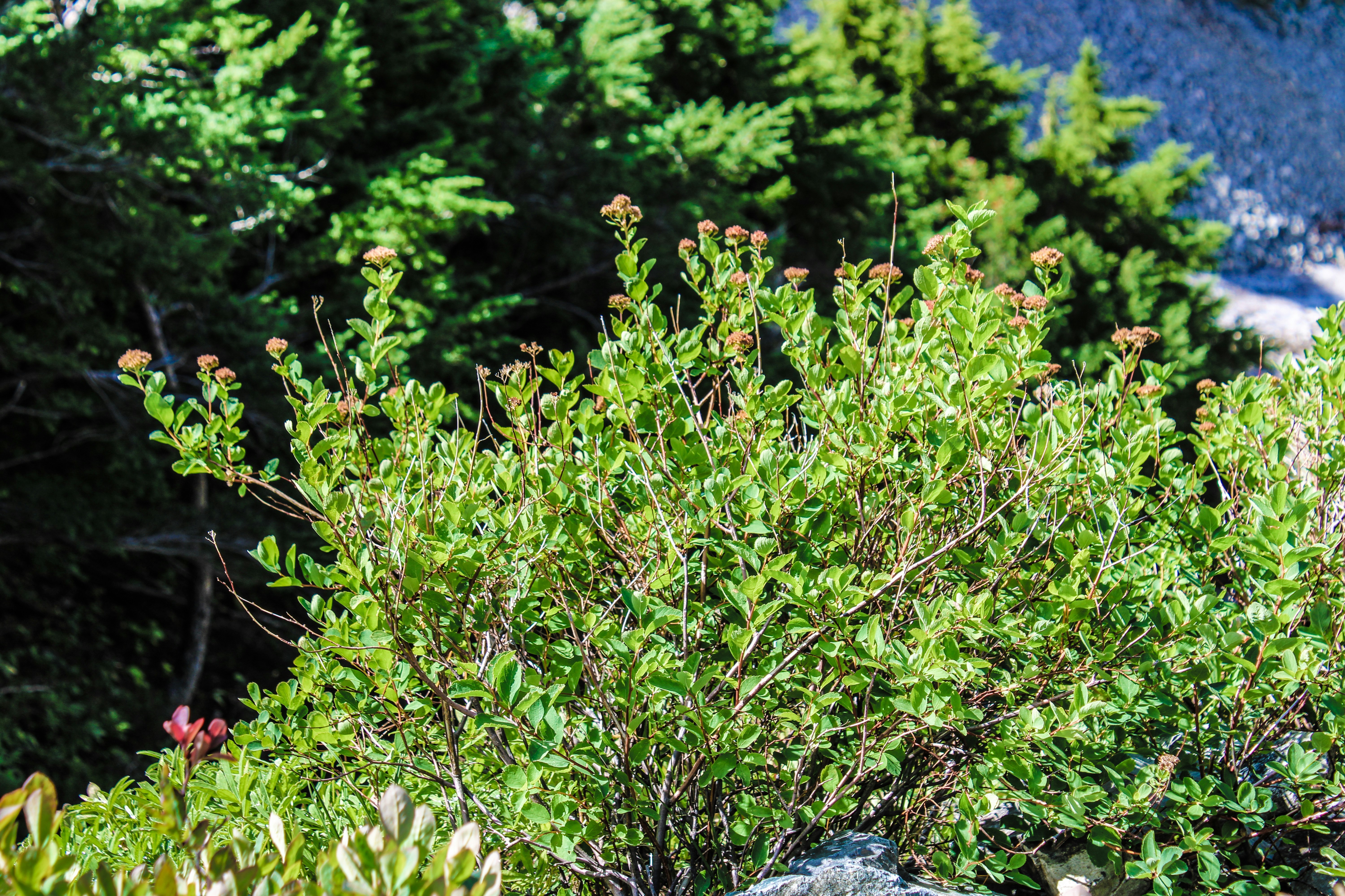 Photo by prphotography262